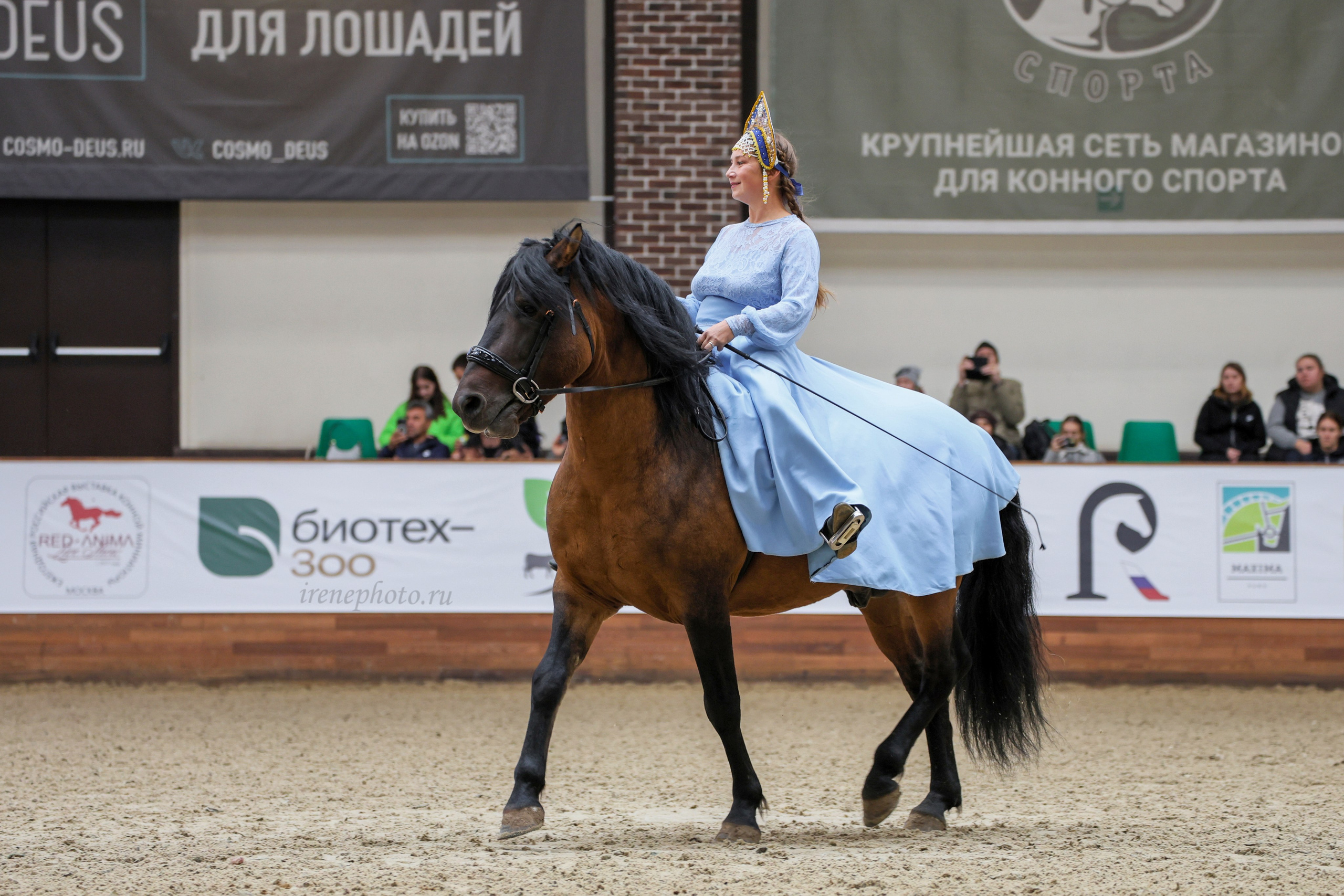 Конная Россия 2024. Irenephoto.ru