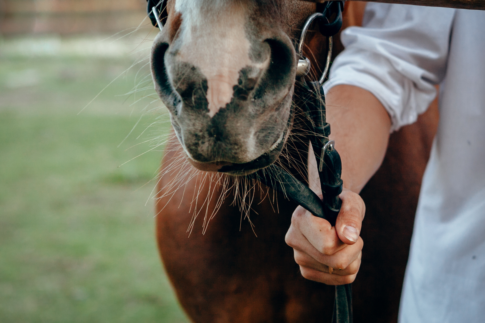Love story. Фотограф Алёна Михайлова, Екатеринбург