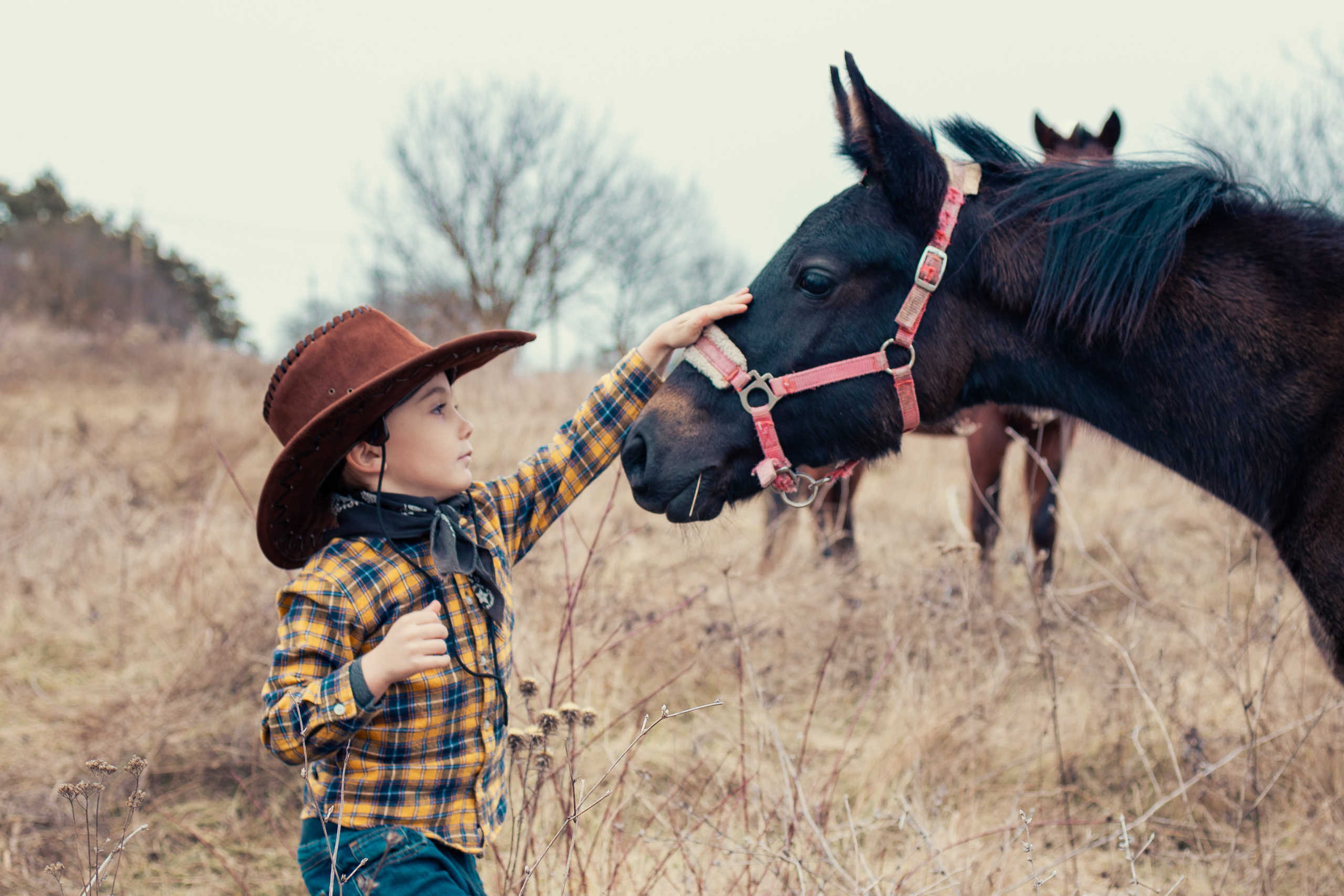Фотосессии с лошадьми. Ваш фотограф в Крыму | Соболевская Анастасия