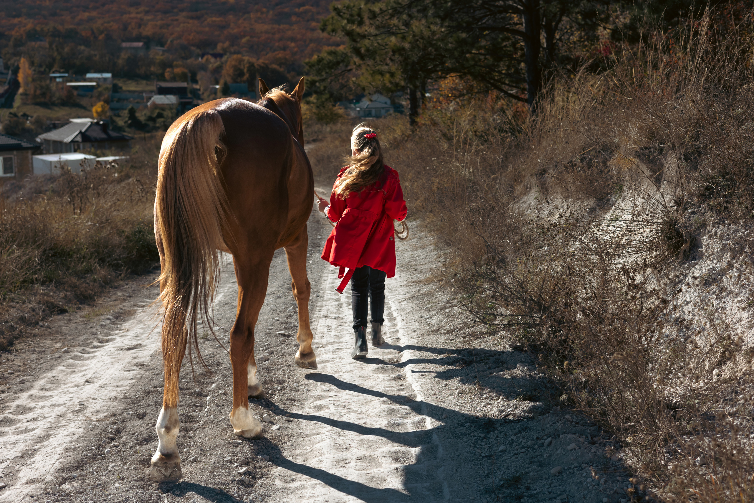 Фотосессии с лошадьми. Ваш фотограф в Крыму | Соболевская Анастасия