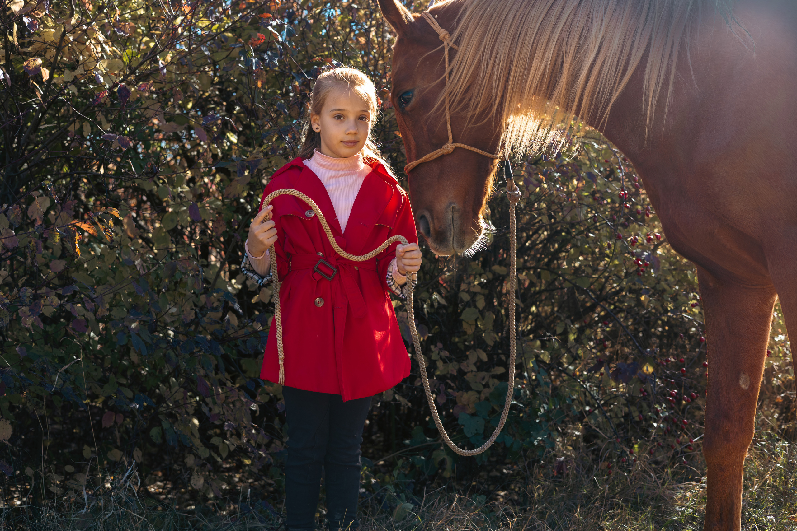 Фотосессии с лошадьми. Ваш фотограф в Крыму | Соболевская Анастасия