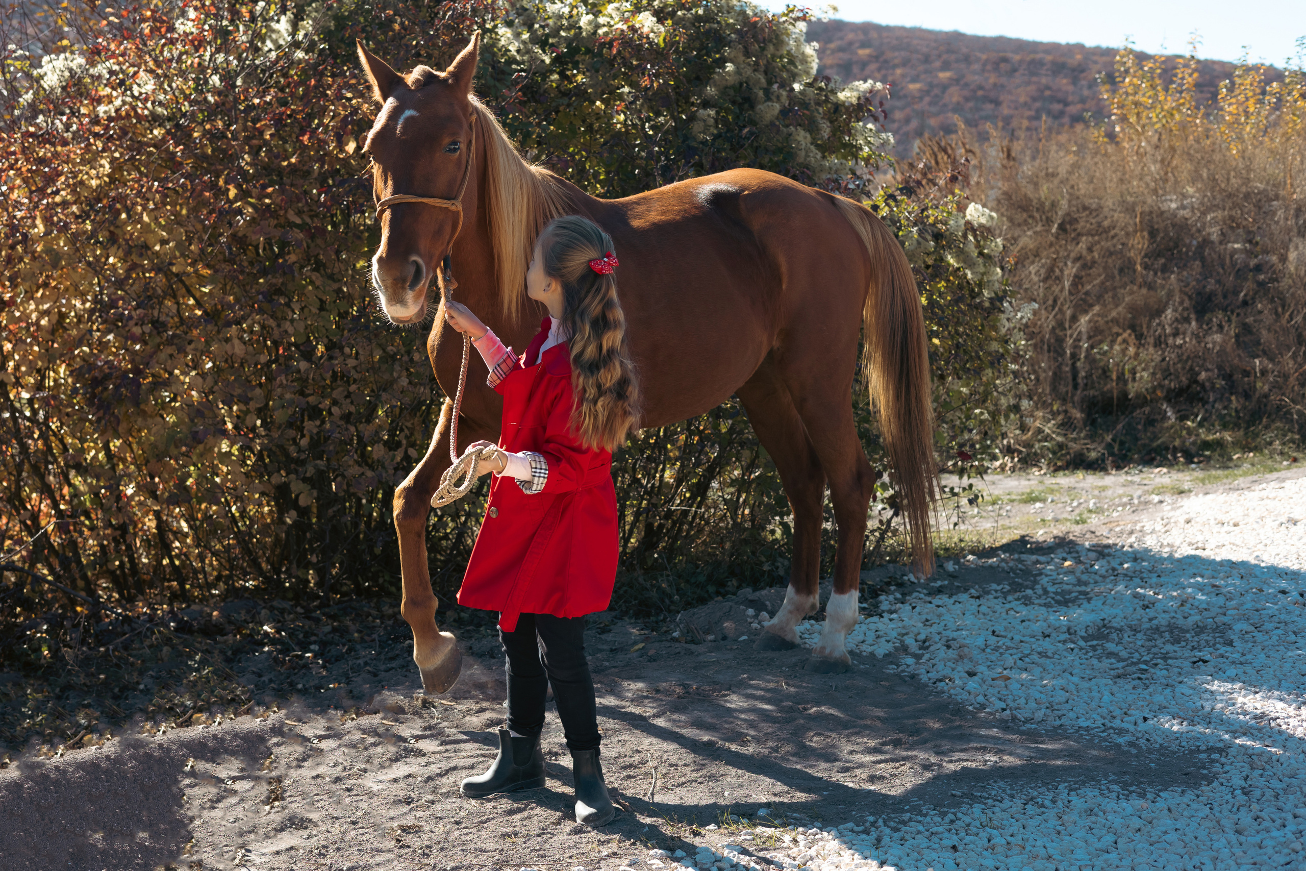 Фотосессии с лошадьми. Ваш фотограф в Крыму | Соболевская Анастасия
