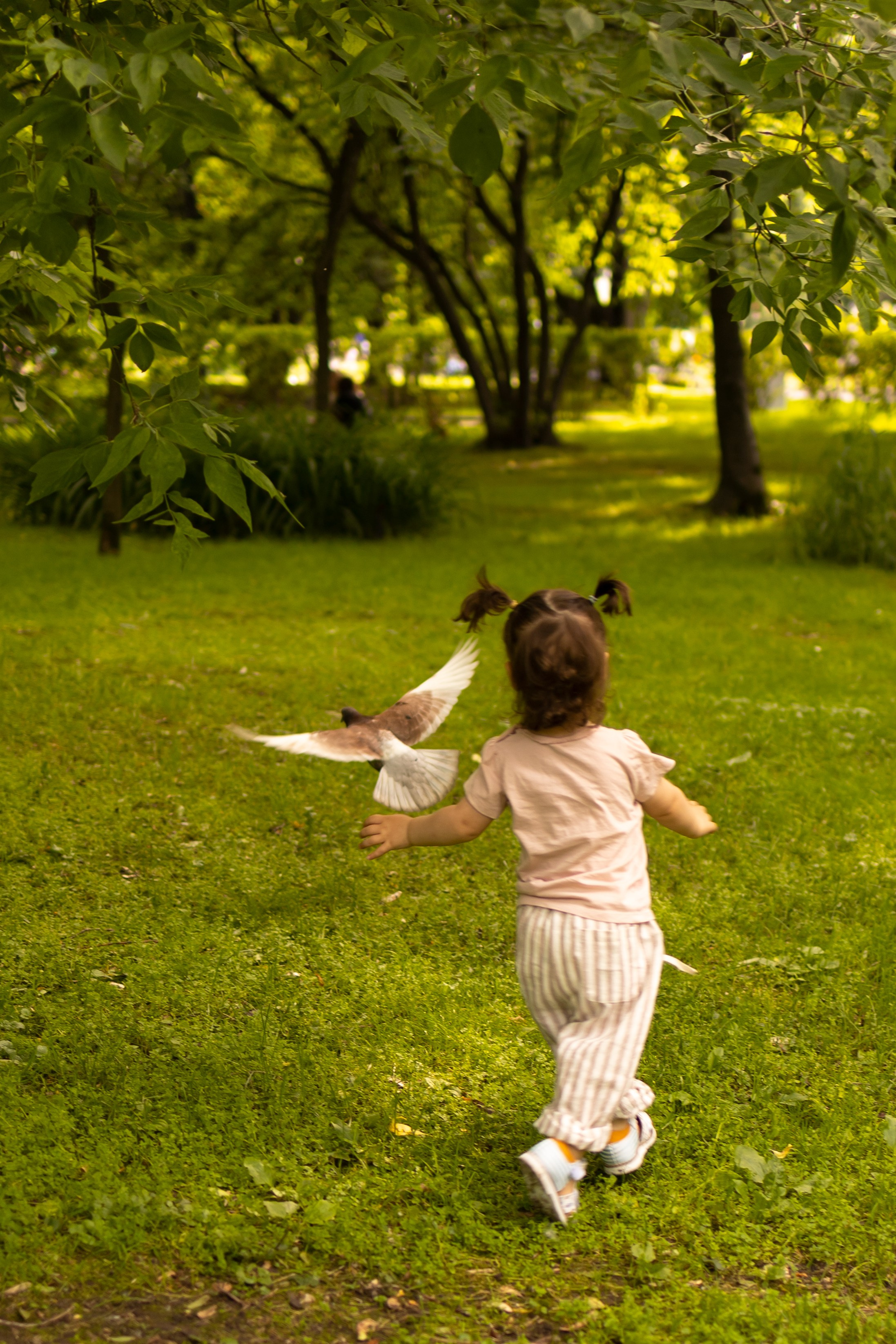 Boho wigwam (summer 2024). Семейный и детский фотограф, фотограф беременности, ньюборн в Москве