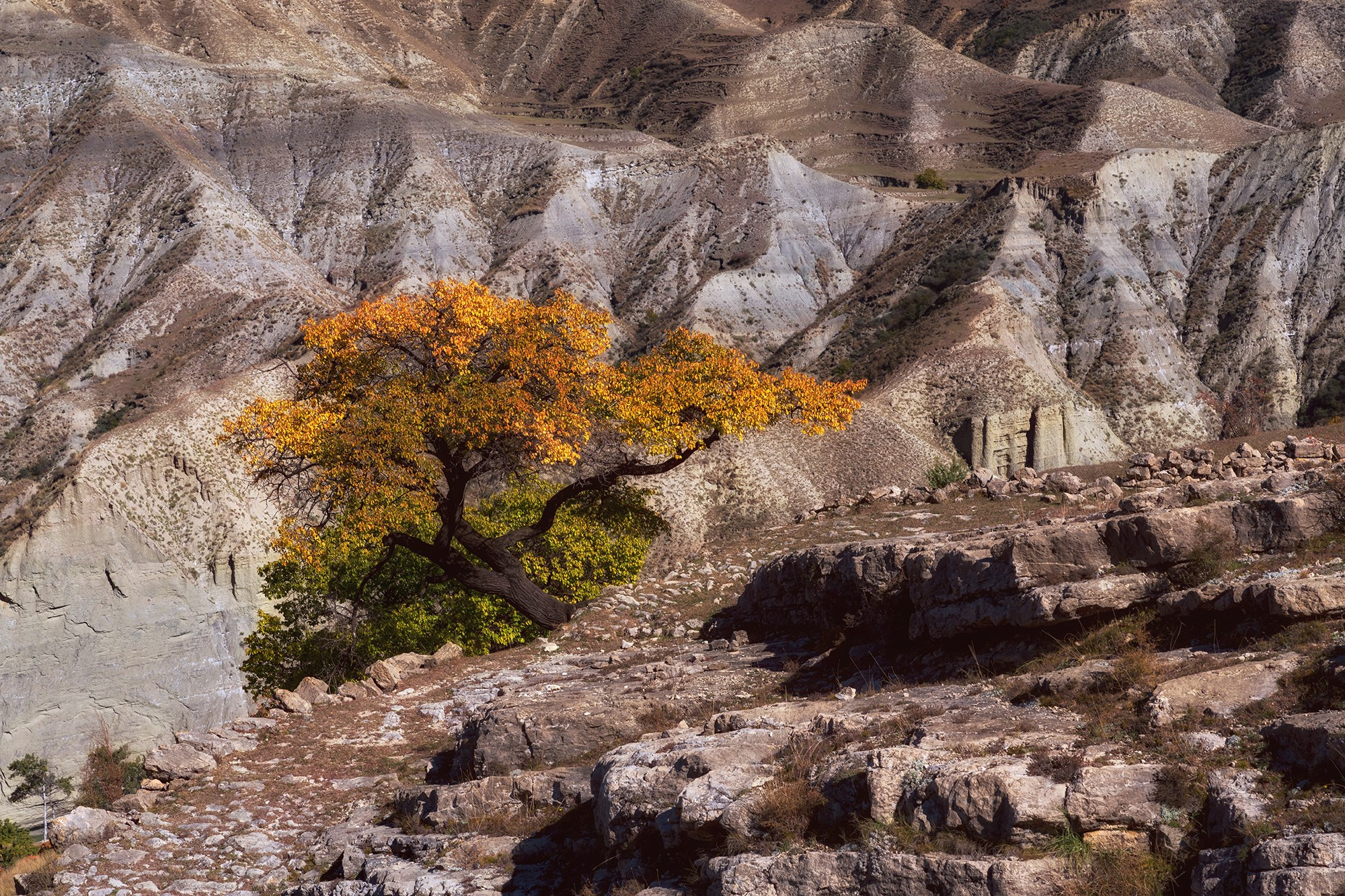 Террасы у Салты