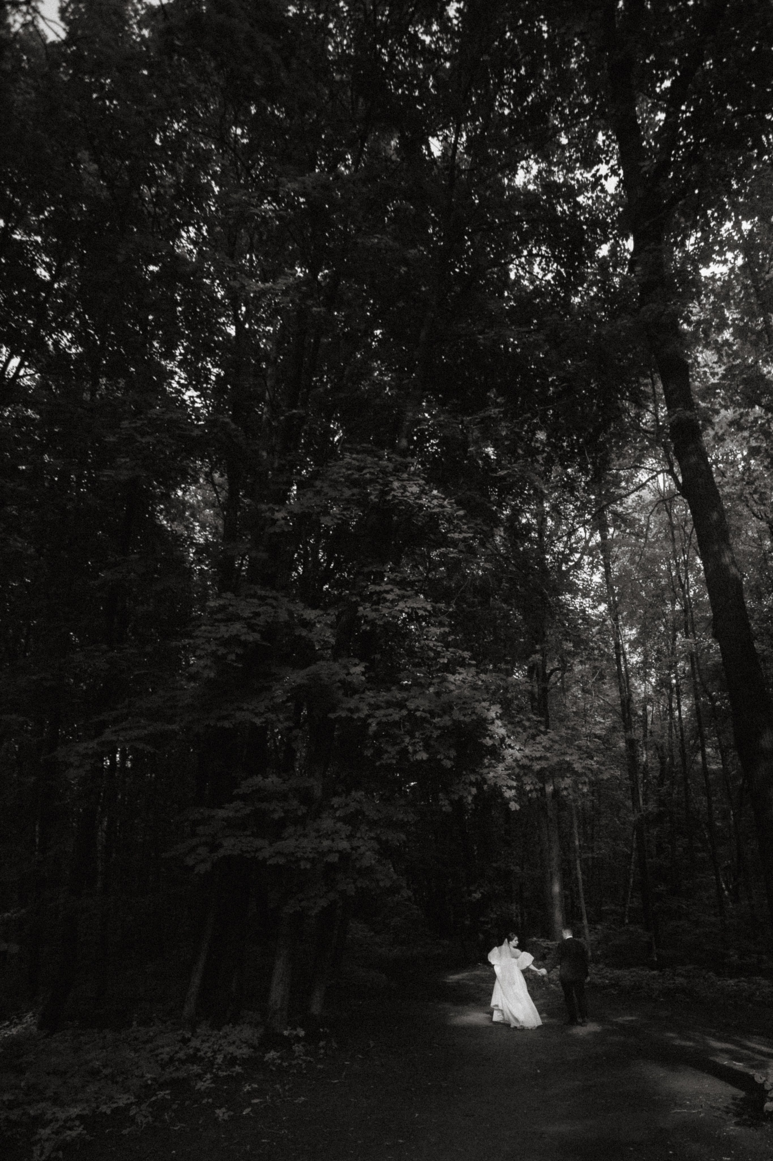 Софья и Илья 29/07/23. Фотограф НатаФото (Наталья Яковенко) Дмитров Москва Питер