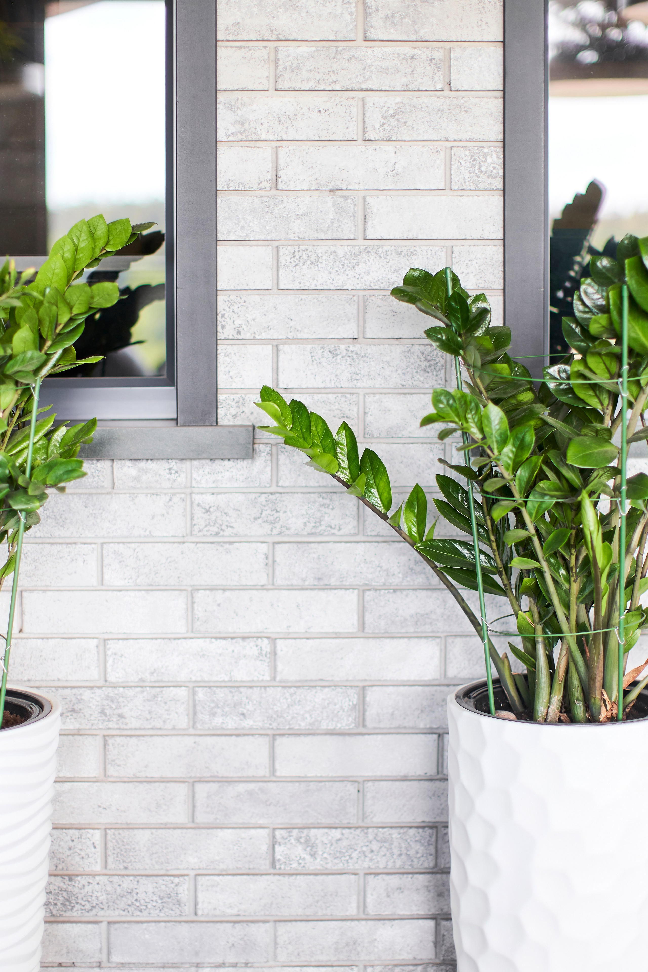 Ресторан «Murmansk». Контент фотограф в Москве Александр Хитько