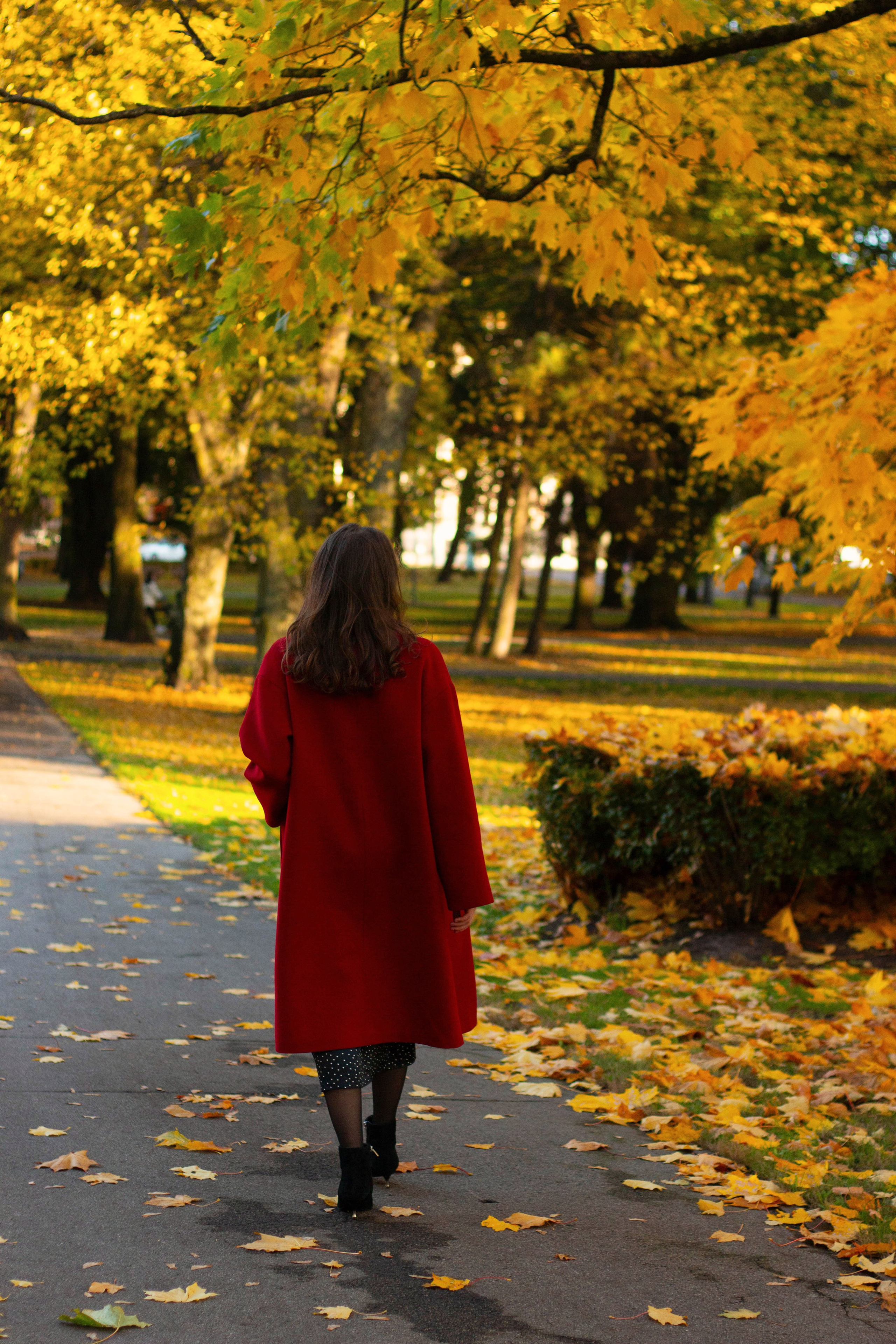 Мария. Осень в Риге. Бережно сохраняю ваши чувства и истории на своих фотографиях