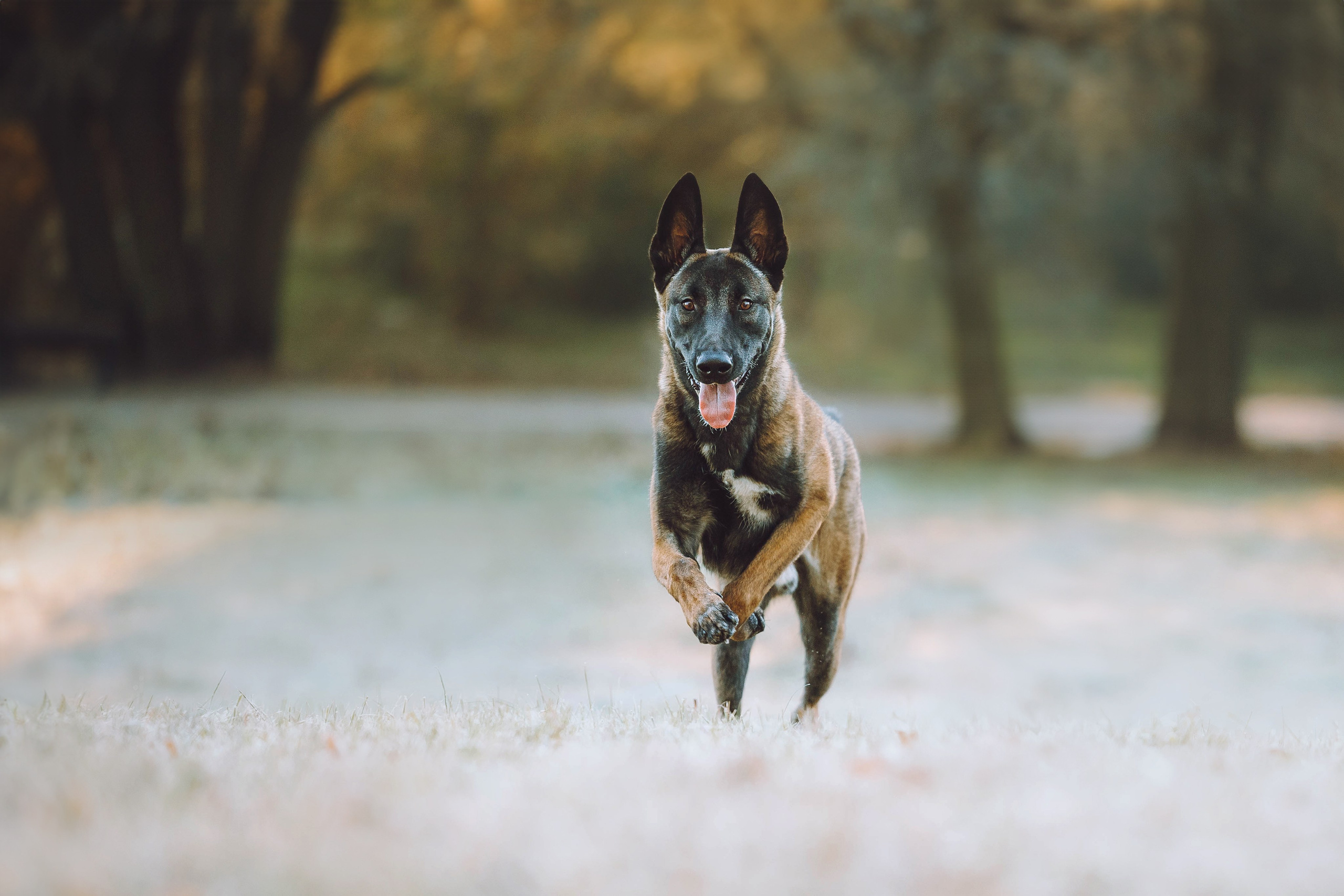 Никита и Ярик