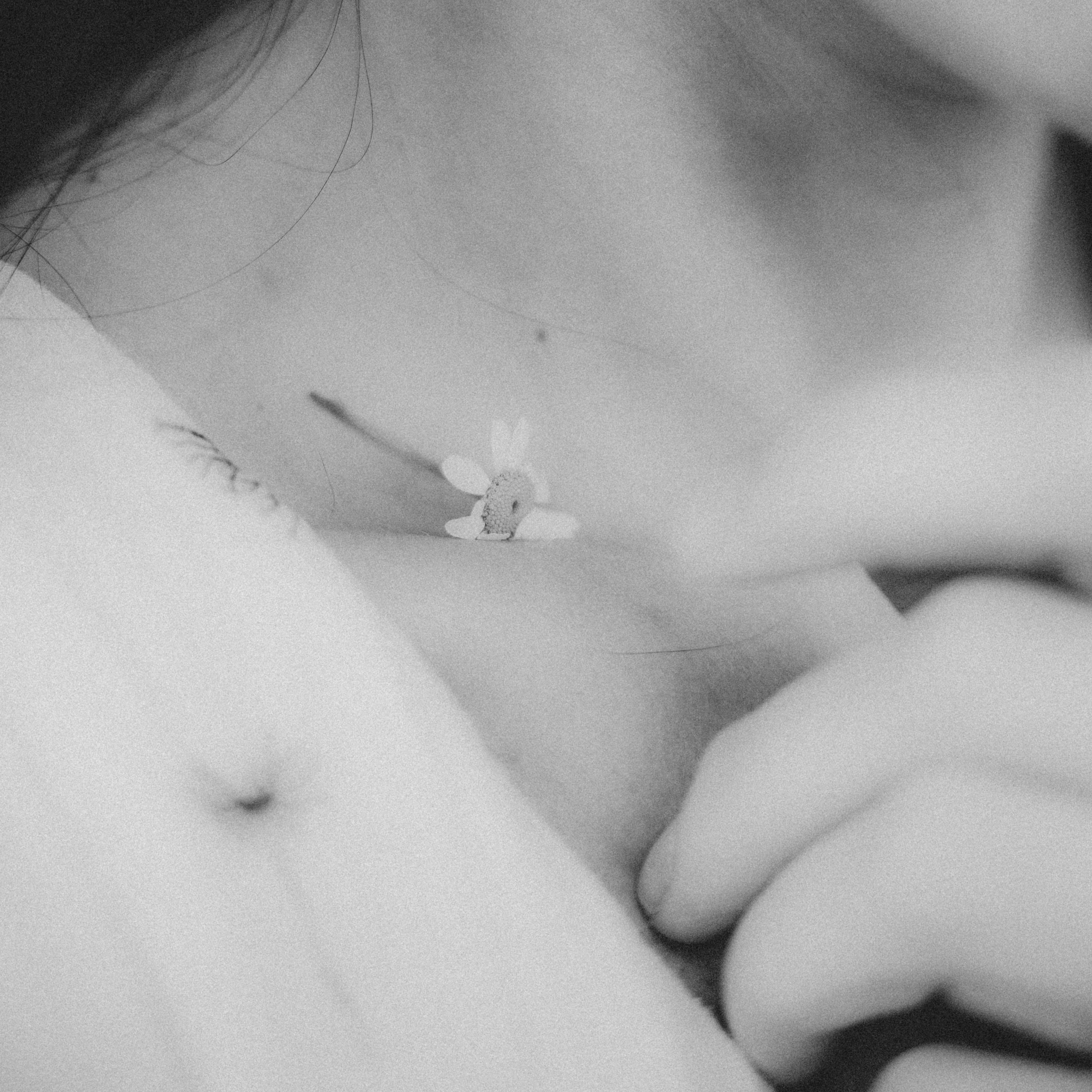 Personality. VISUAL ARTIST · KRONGAUZ ANASTASIA