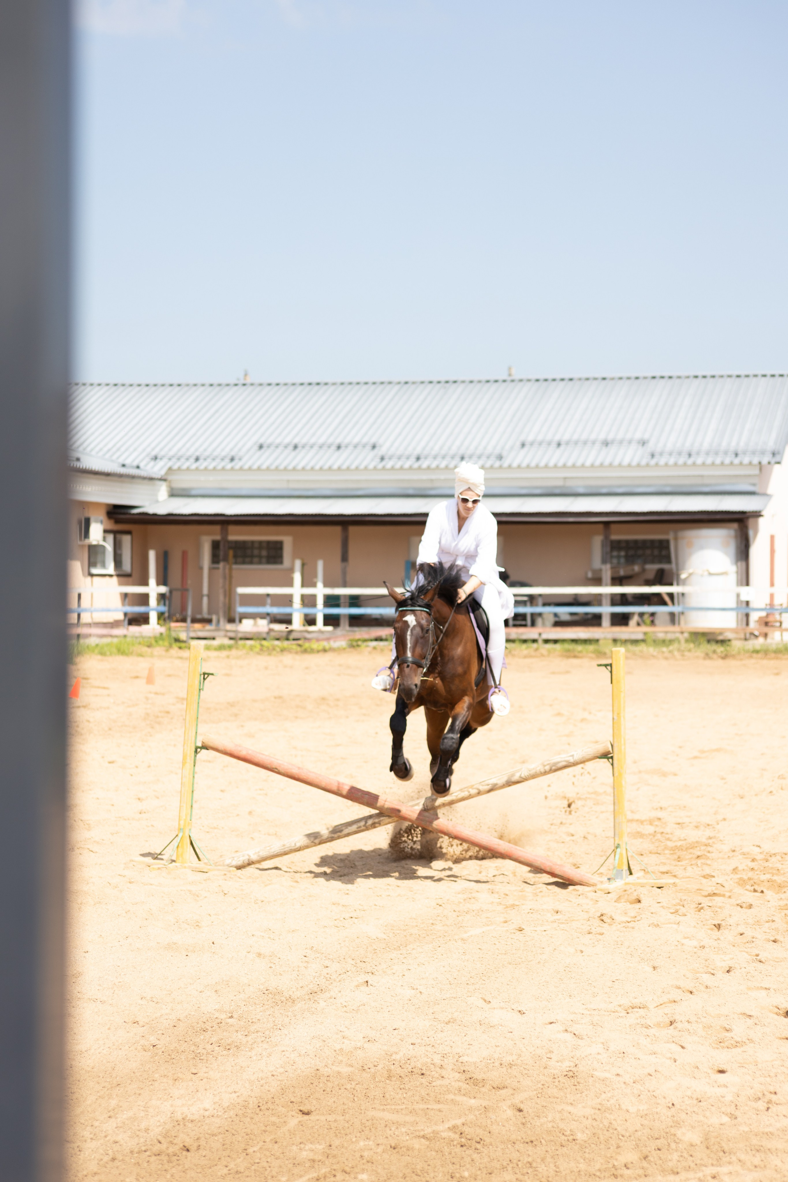 Конюшня. Фотограф в Москве и Истре