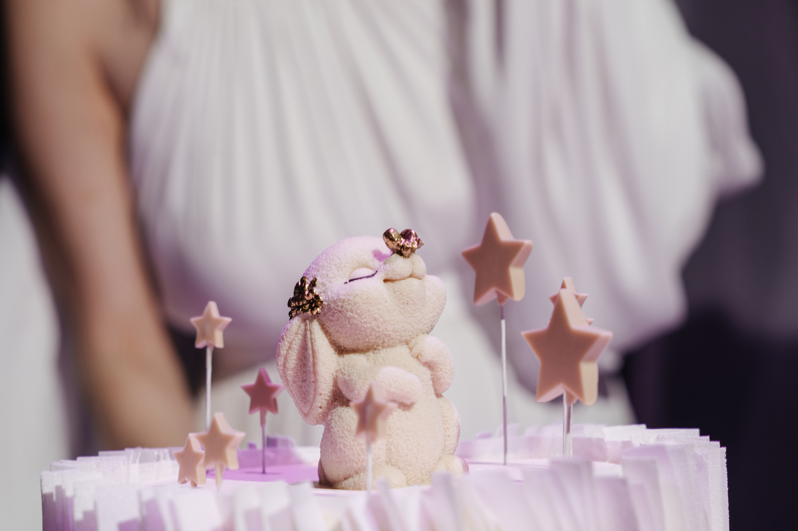 Gender Party Нечаевы. Фотограф Кирилл Бабий