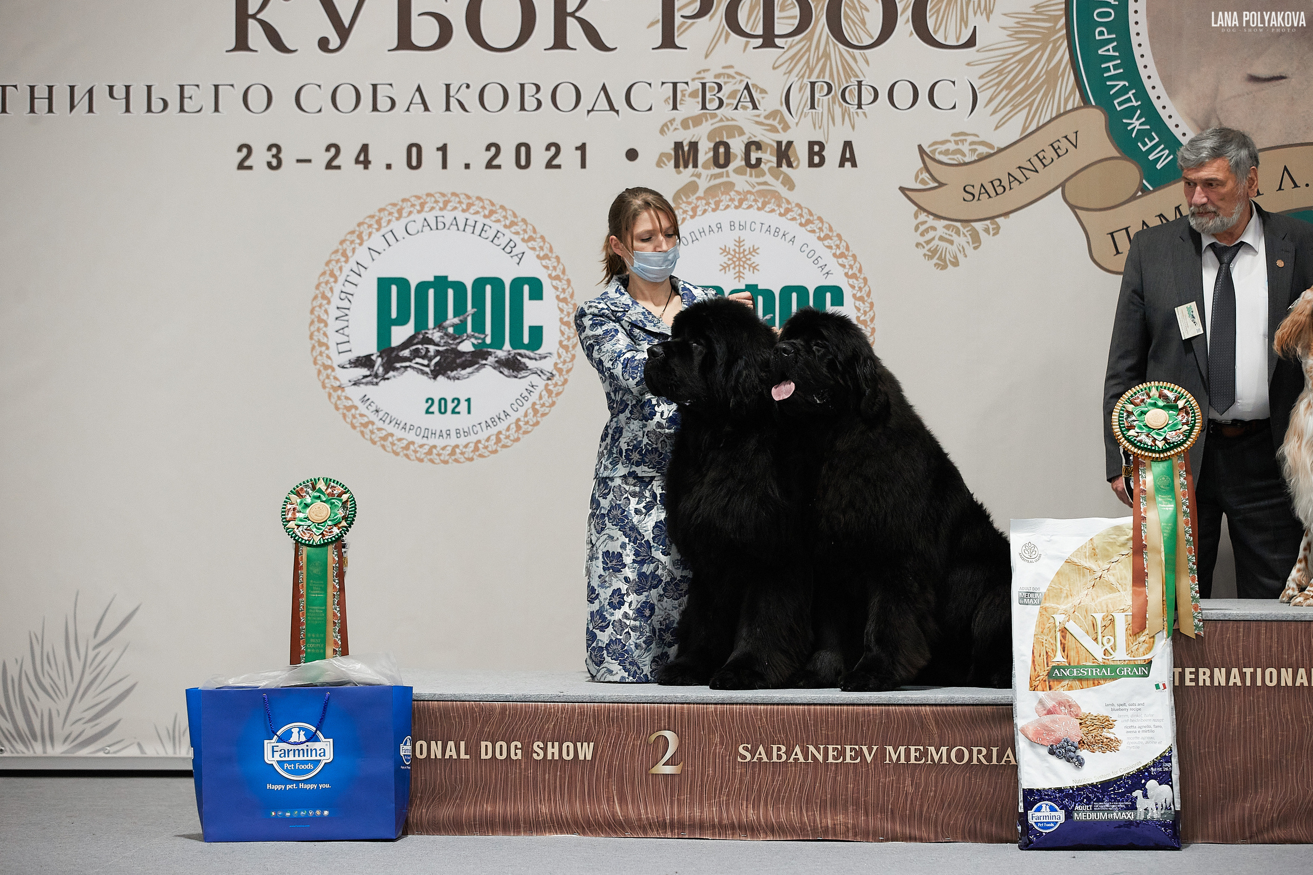 IDS «SABANEEV MEMORIAL 2021», MOSCOW. ФОТОГРАФ-АНИМАЛИСТ l LANA POLYAKOVA