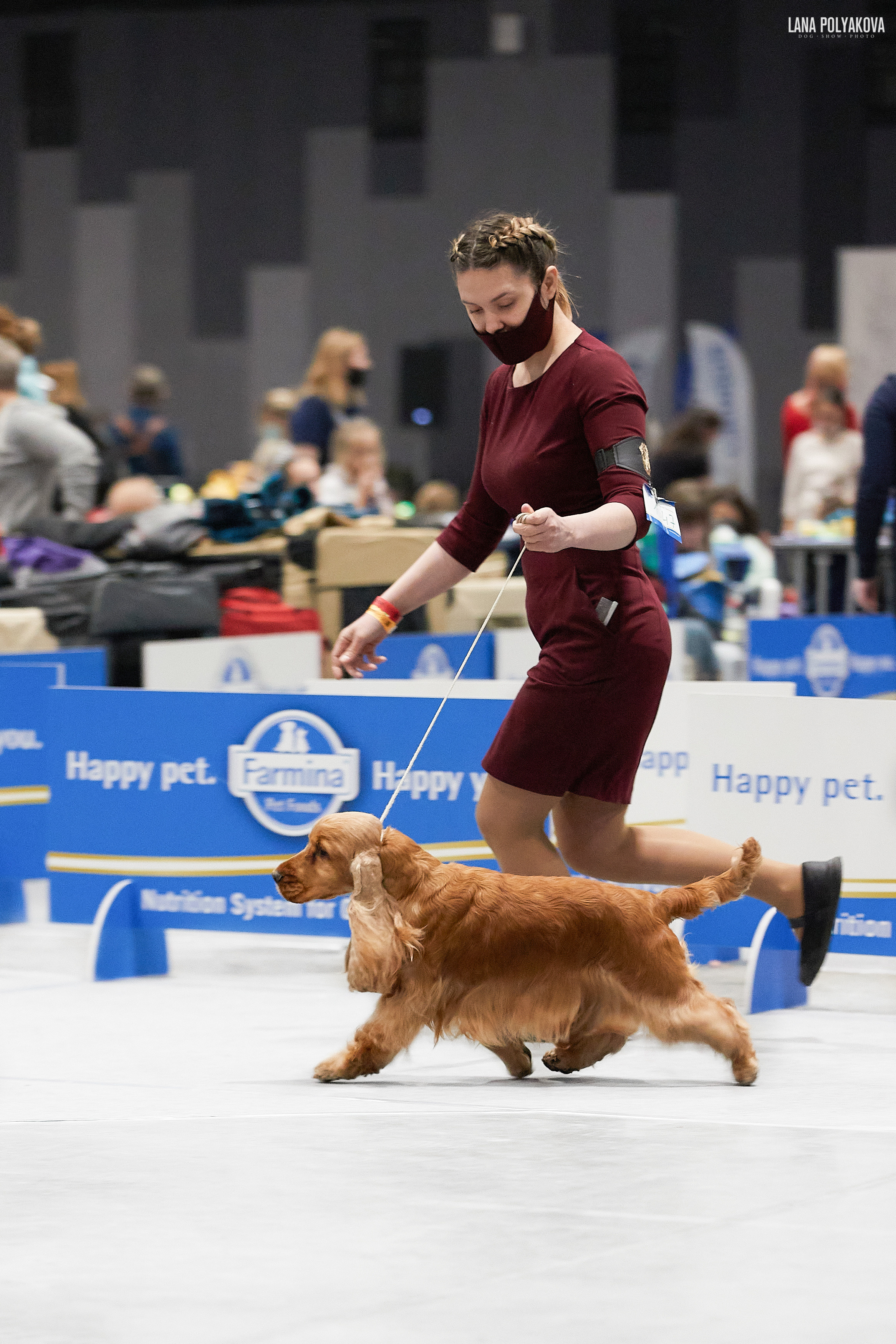 IDS «SABANEEV MEMORIAL 2021», MOSCOW. ФОТОГРАФ-АНИМАЛИСТ l LANA POLYAKOVA