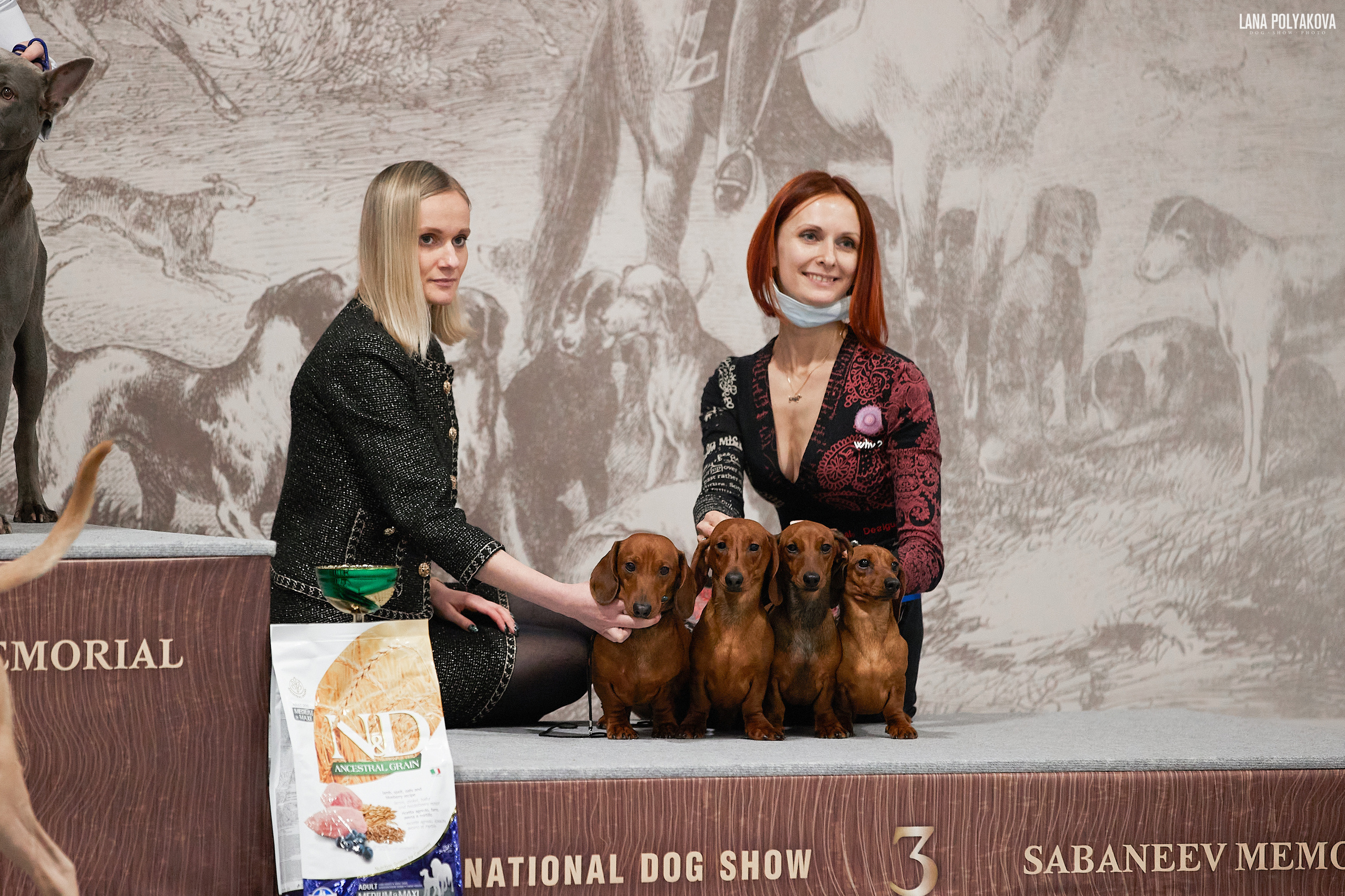 IDS «SABANEEV MEMORIAL 2021», MOSCOW. ФОТОГРАФ-АНИМАЛИСТ l LANA POLYAKOVA