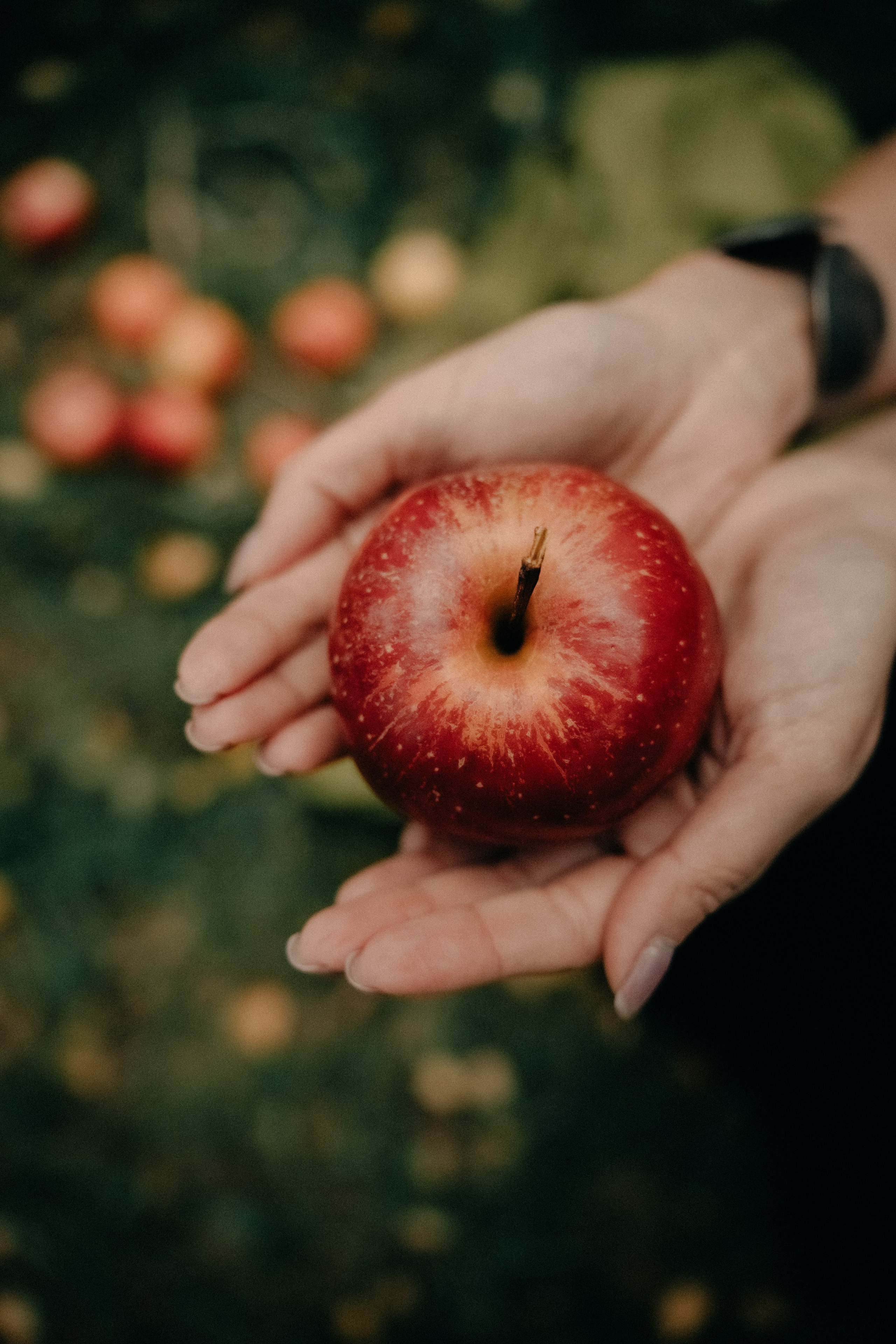 Женский портрет. Кошенкова Мария: портретный и репортажный фотограф. Санкт-Петербург