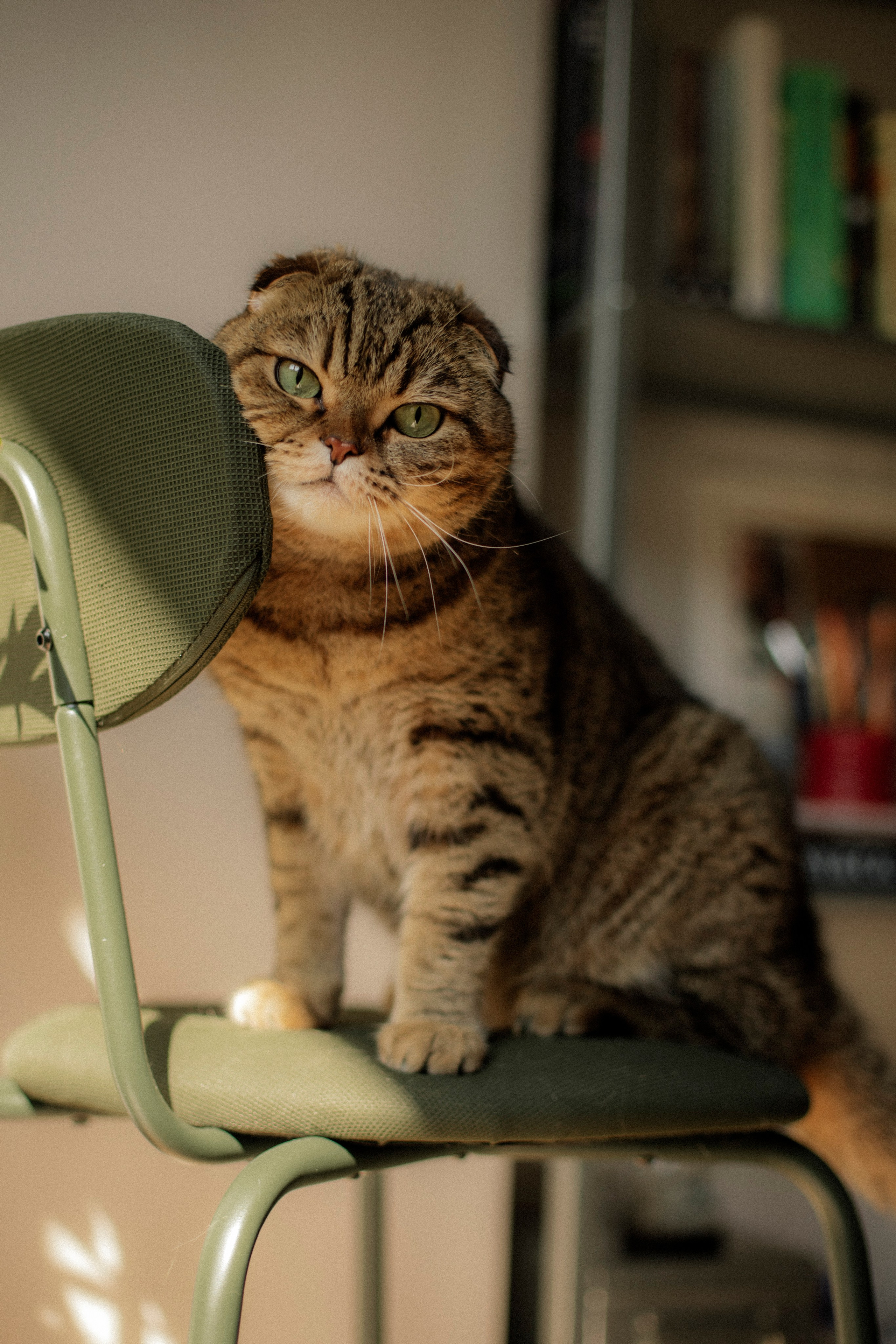 Nastya&Artyom. Photographer Anastasia Kirnosenko