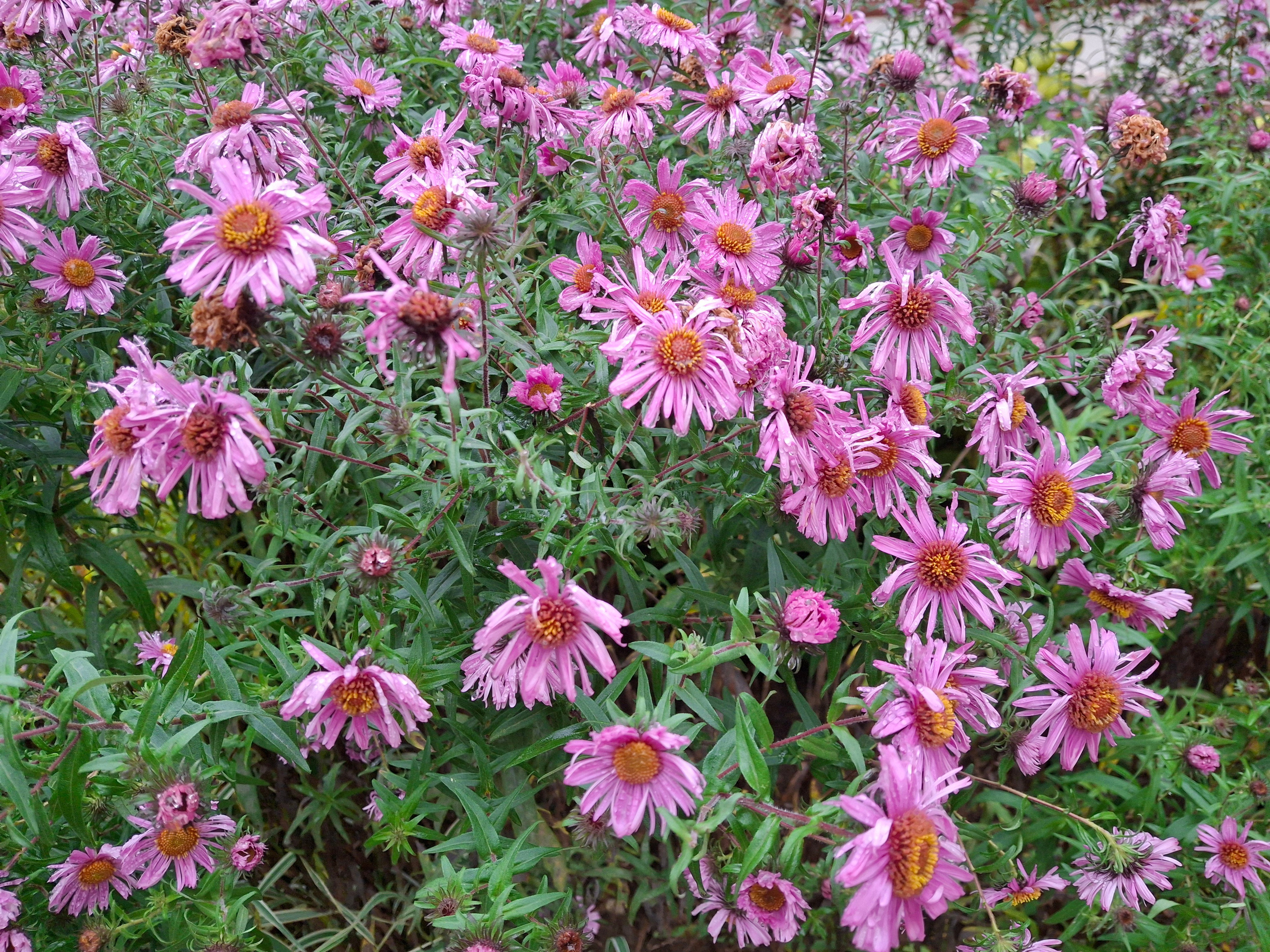 Последняя поездка. Игорь Жучков. Россия увиденная глазами путешествующего фотографа