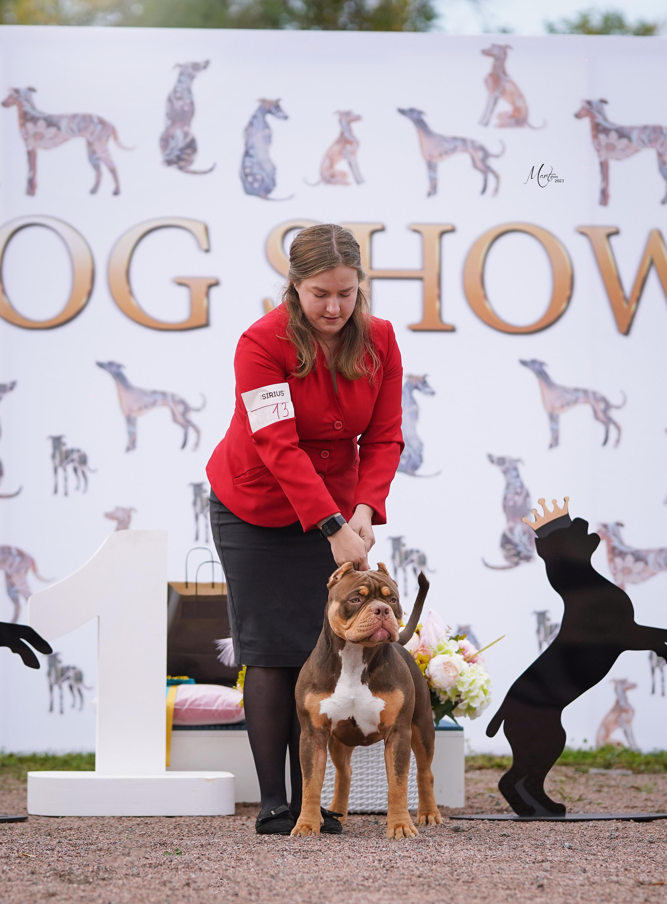 Выставки 2023. Фотограф-анималист в Санкт-Петербурге Яна Мартынова