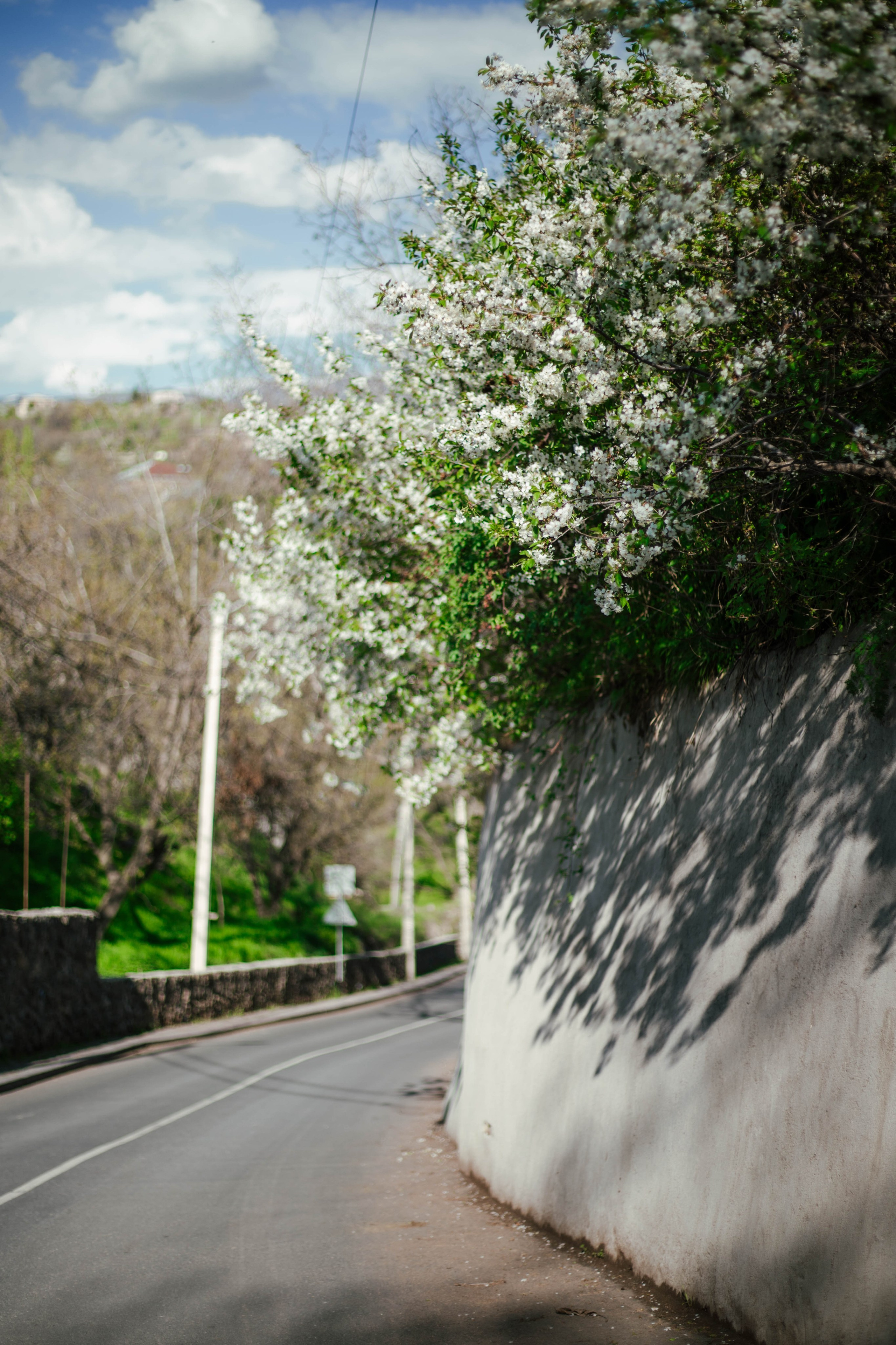Armenia. Photographer Alina Skitovich