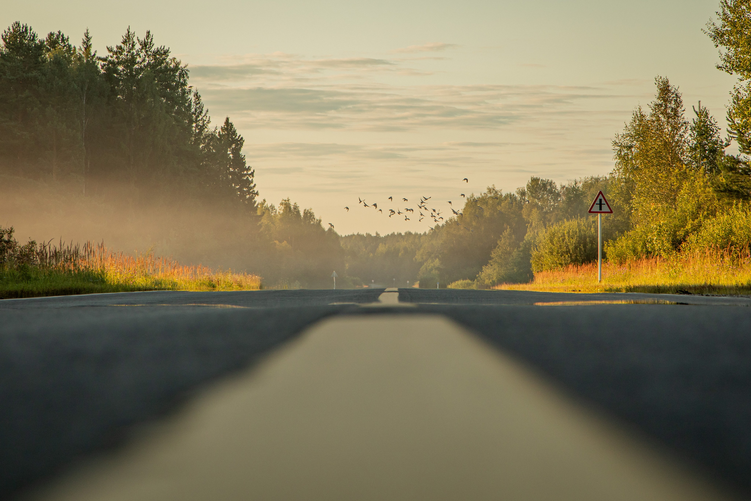 Про жизнь. Фотограф Сергей Ловкий