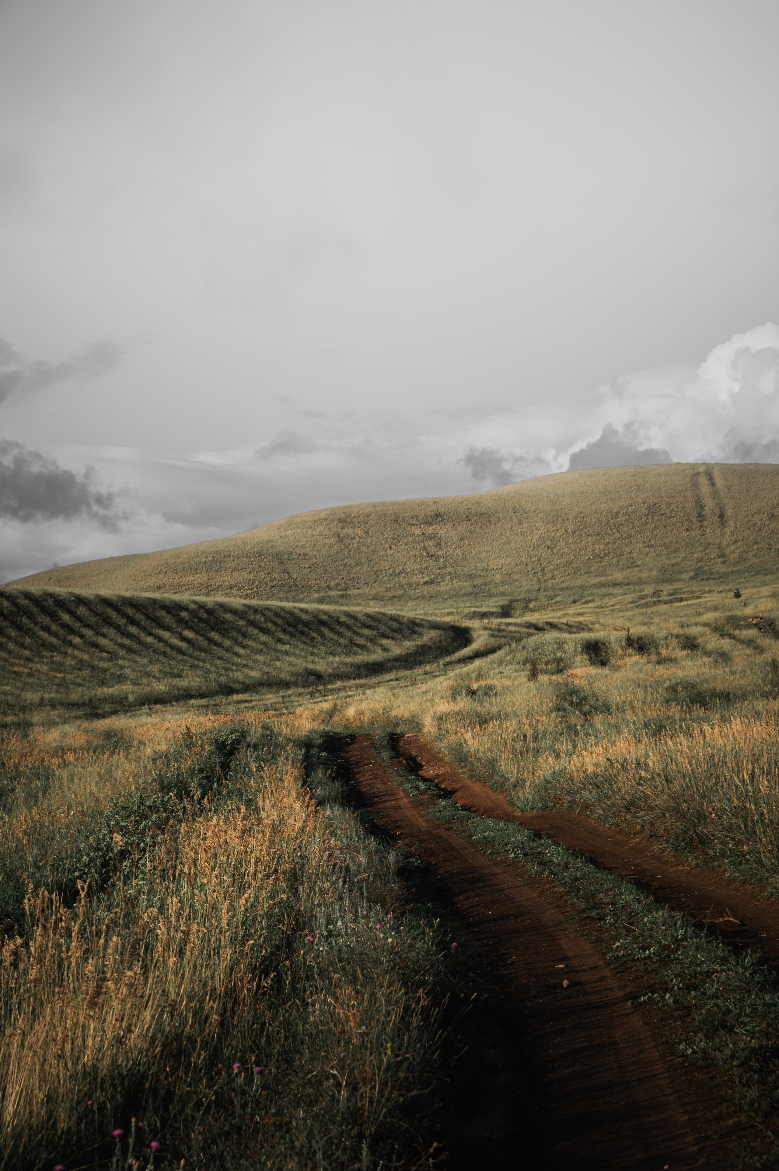 Фотограф/видеограф Богдан Голованов