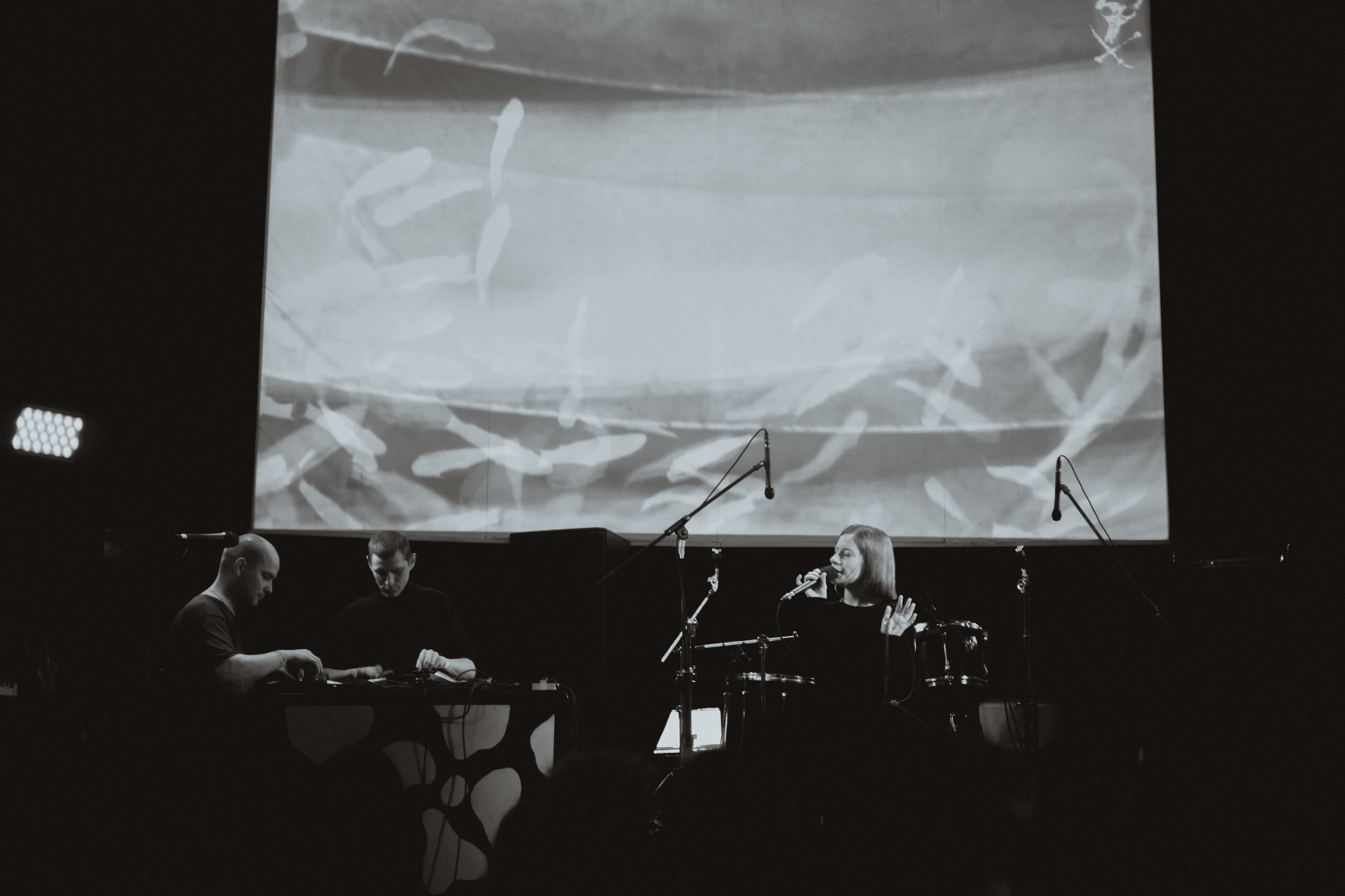 10.01.2025. Анна Мильч