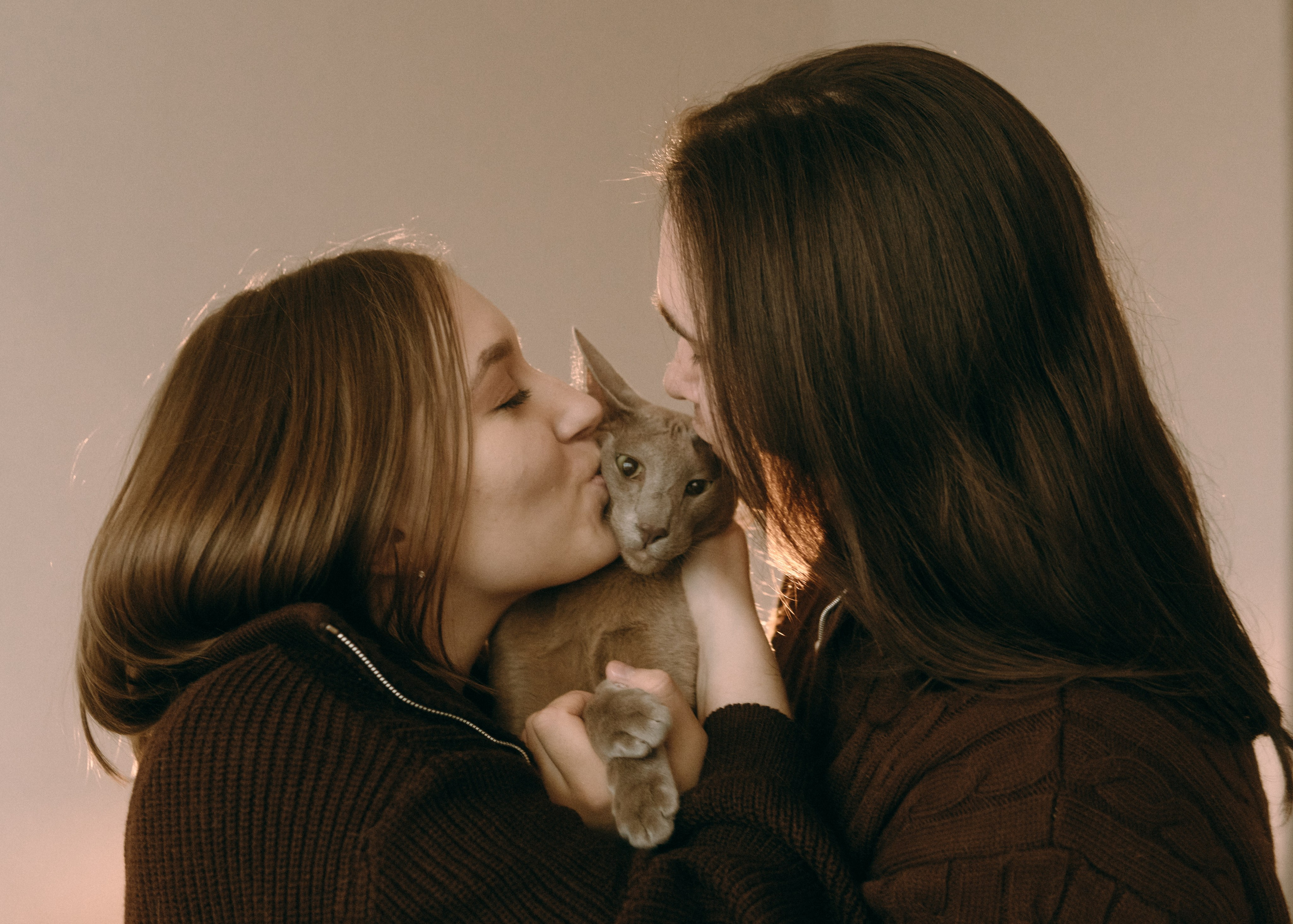 Амина, Булат и Орион. Фотограф-анималист Ксения Воробьева, Москва