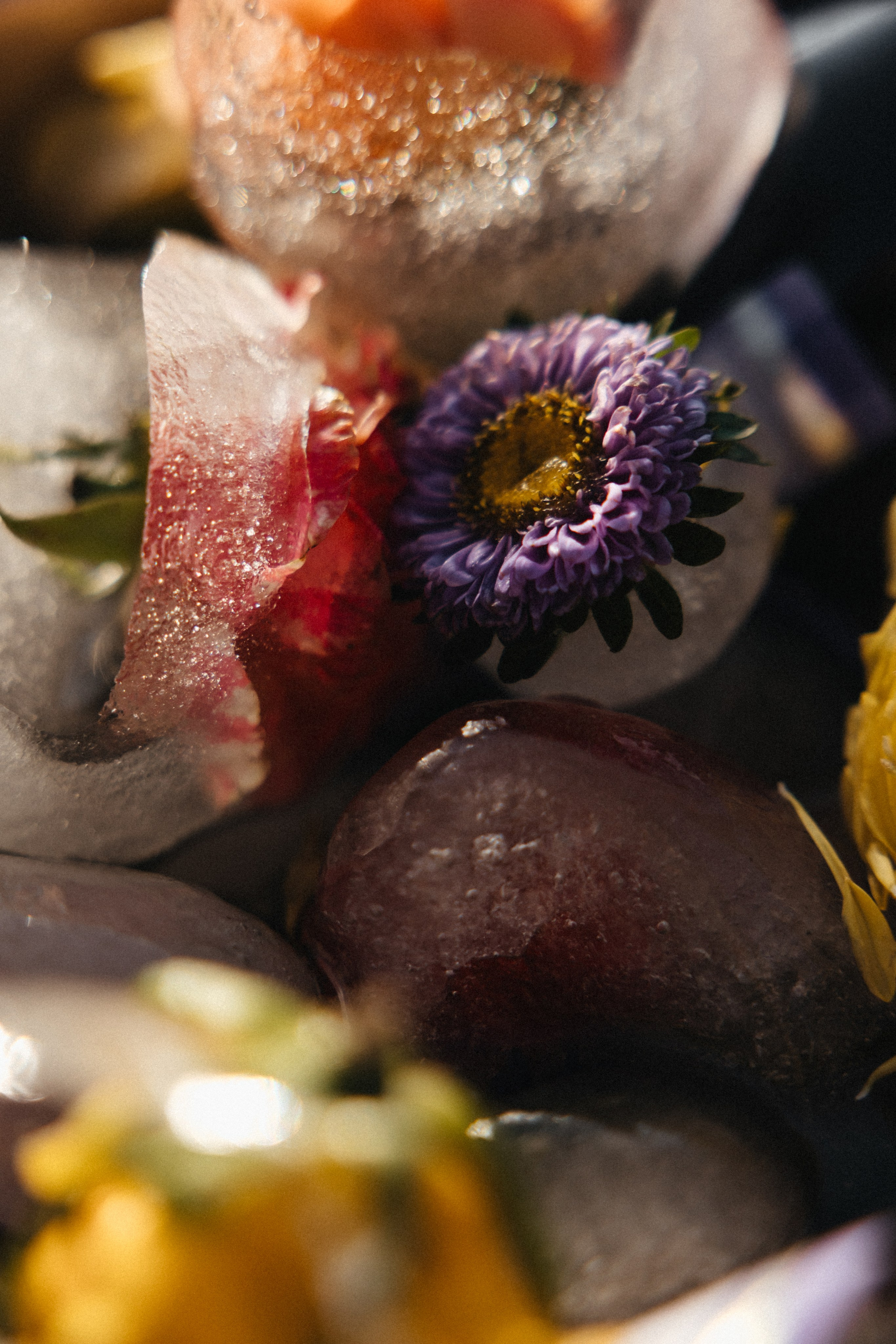 Шепот трав. Свадебный и семейный фотограф и видеограф, Крым, Москва, Санкт -Петербург