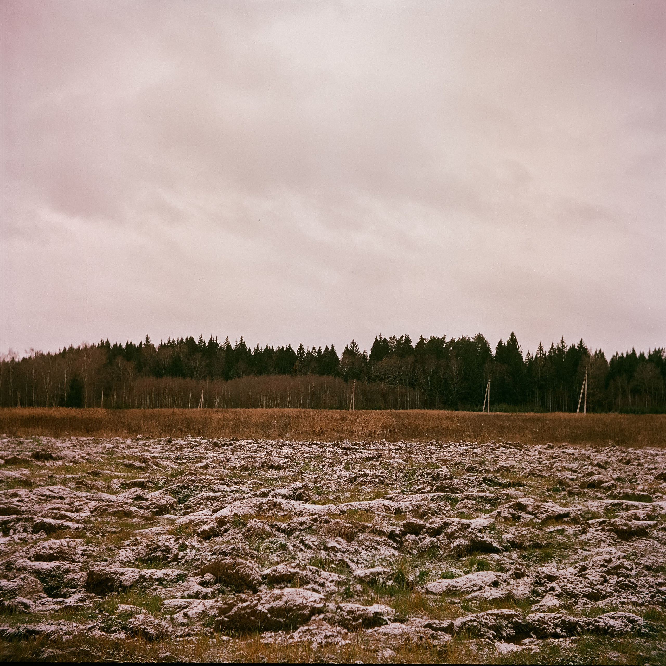 Yashica 635 / Aeronega 100 (Kodak Aerocolor IV) / ноябрь 2024 Лукино