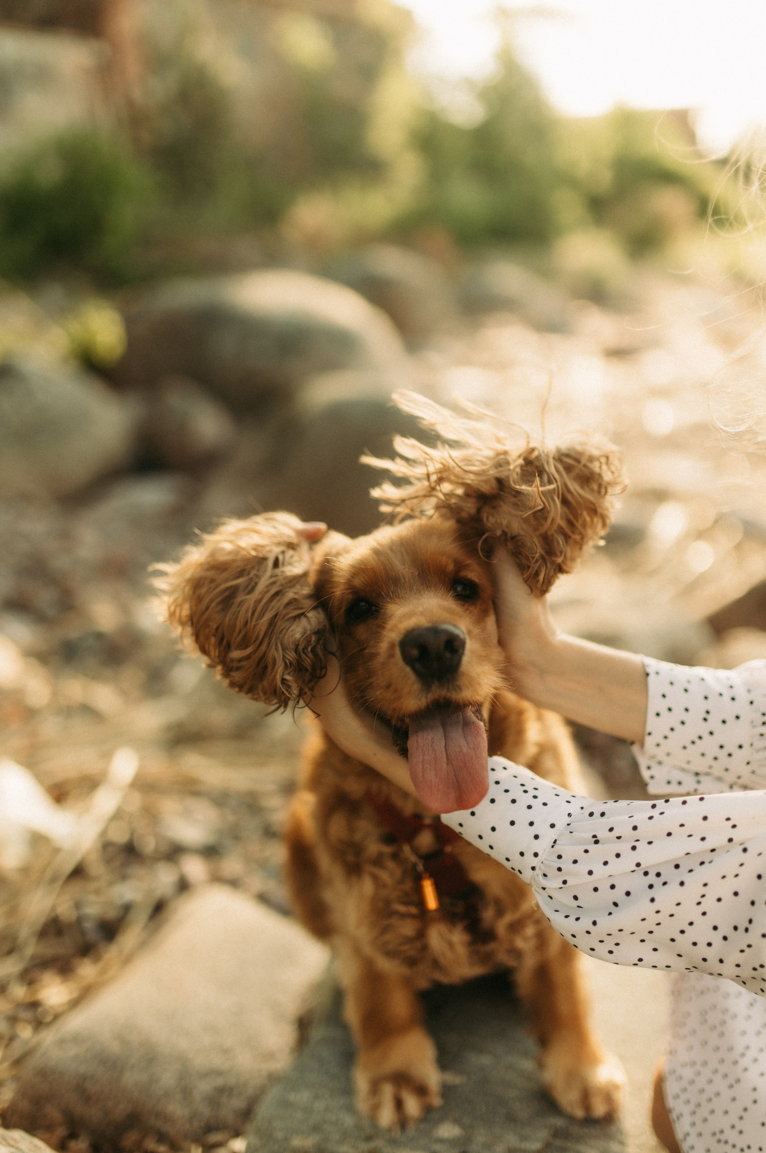 Александра и Алексей. Фотограф в Санкт-Петербурге
