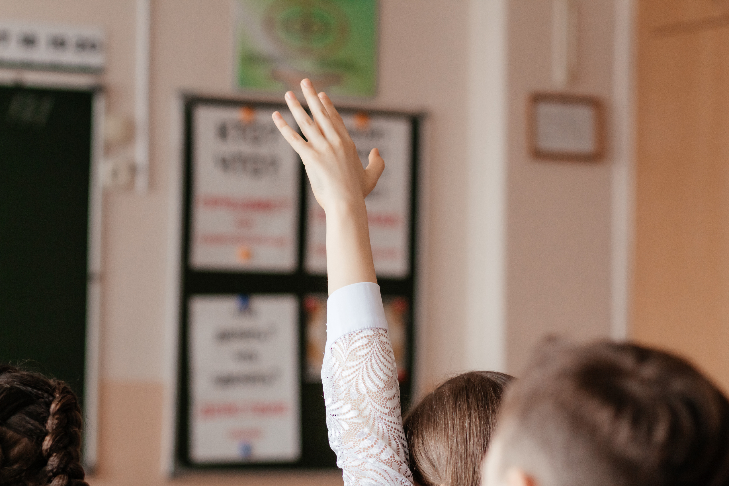 Школьные истории 4Б. Семейный фотограф в Минске Приболовец Светлана