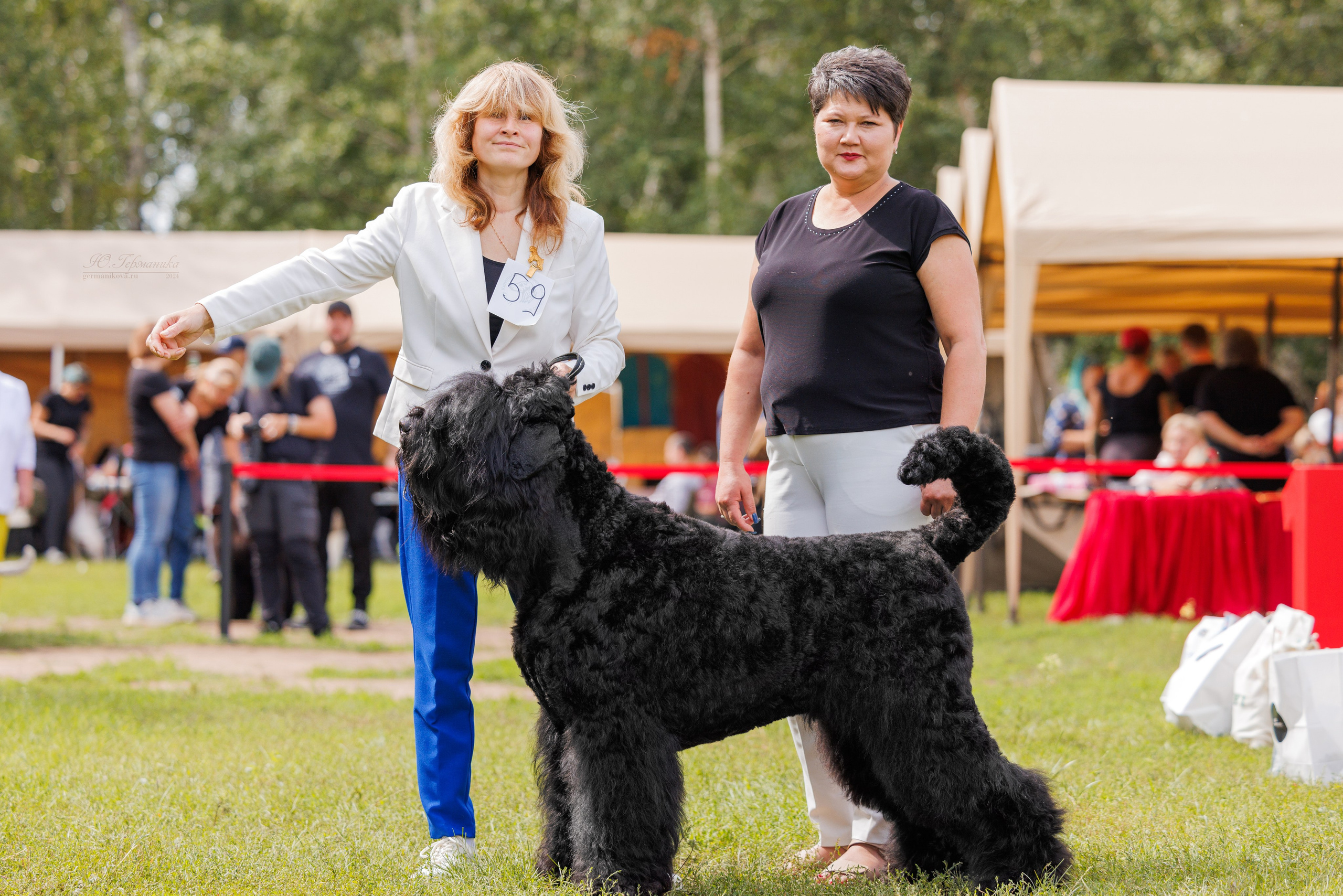 Астана 2хCACIB 17-18.08.2024. Фотограф-анималист Юлия Германика