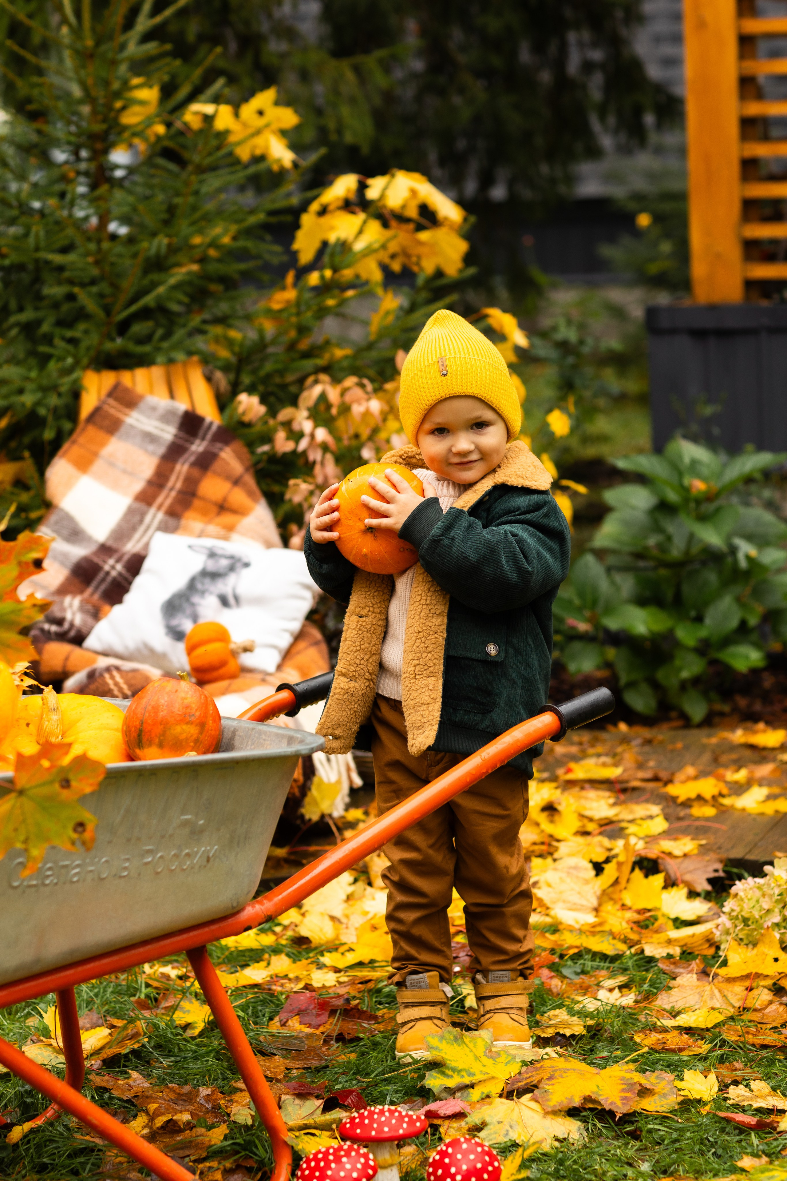 Осень. Профессиональный ретушер Москва и весь мир — Елена Тимченко