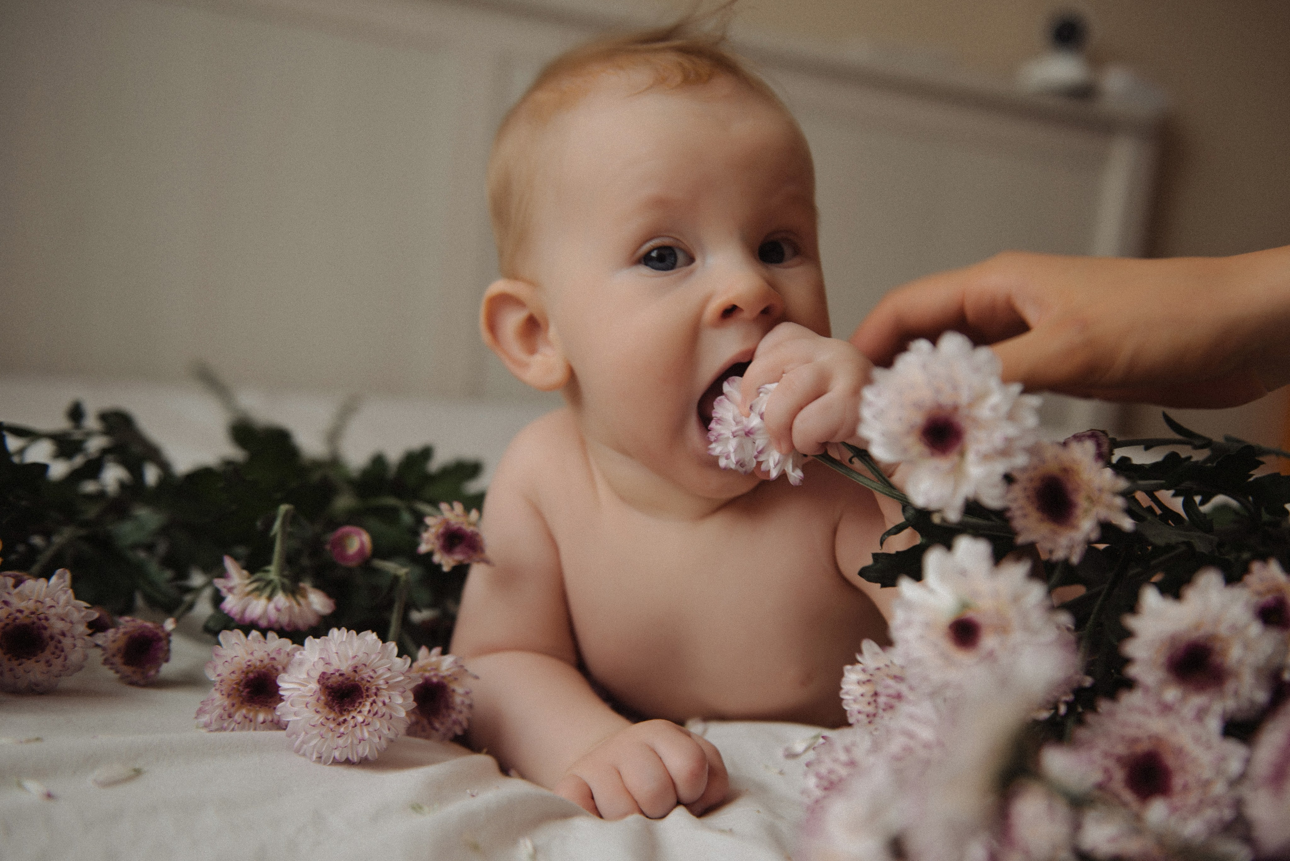 Мария. Свадебный, портретный, фотограф беременности в Нижнем Новгороде Алина Зиновьева