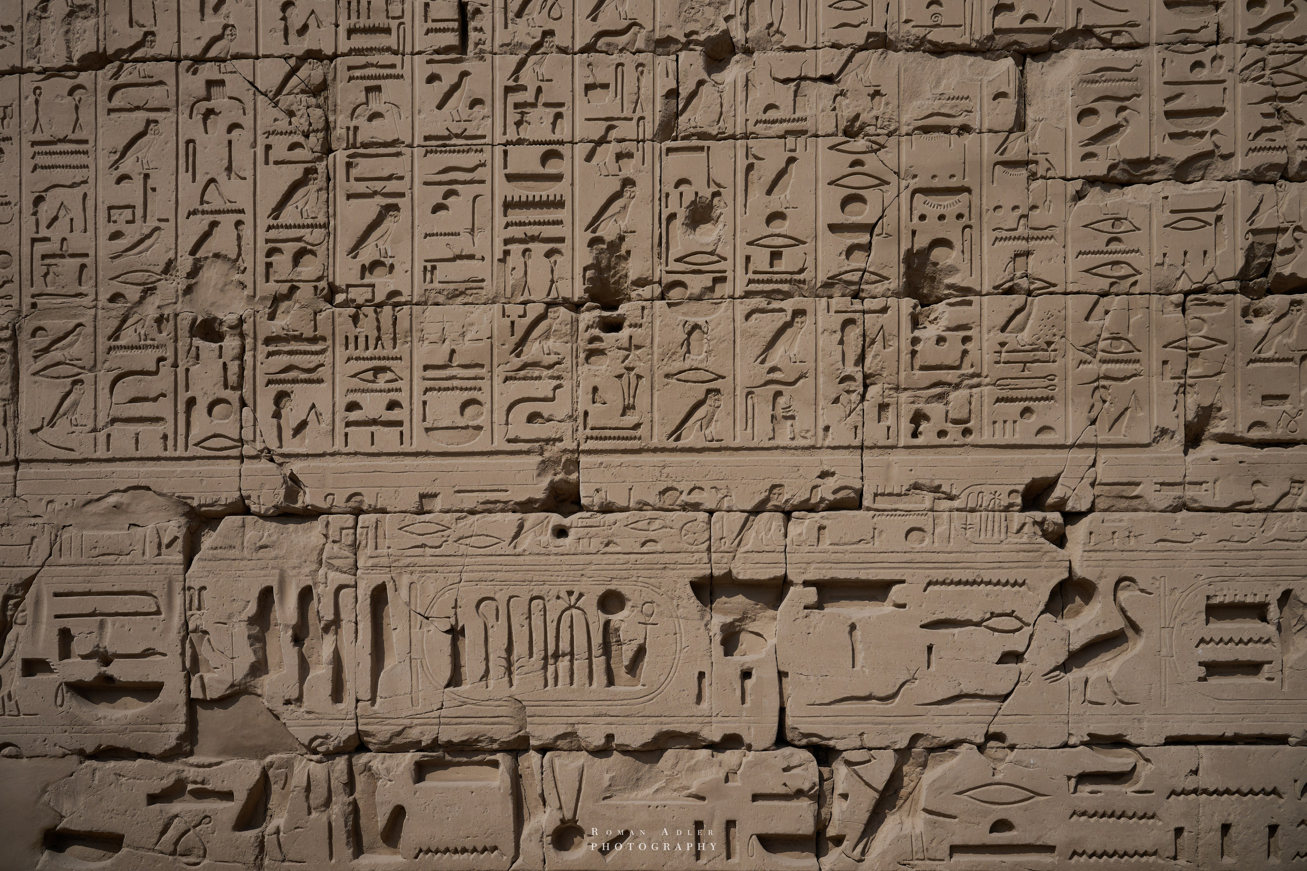 Луксор. Февраль 2025. Фотограф Роман Адлер