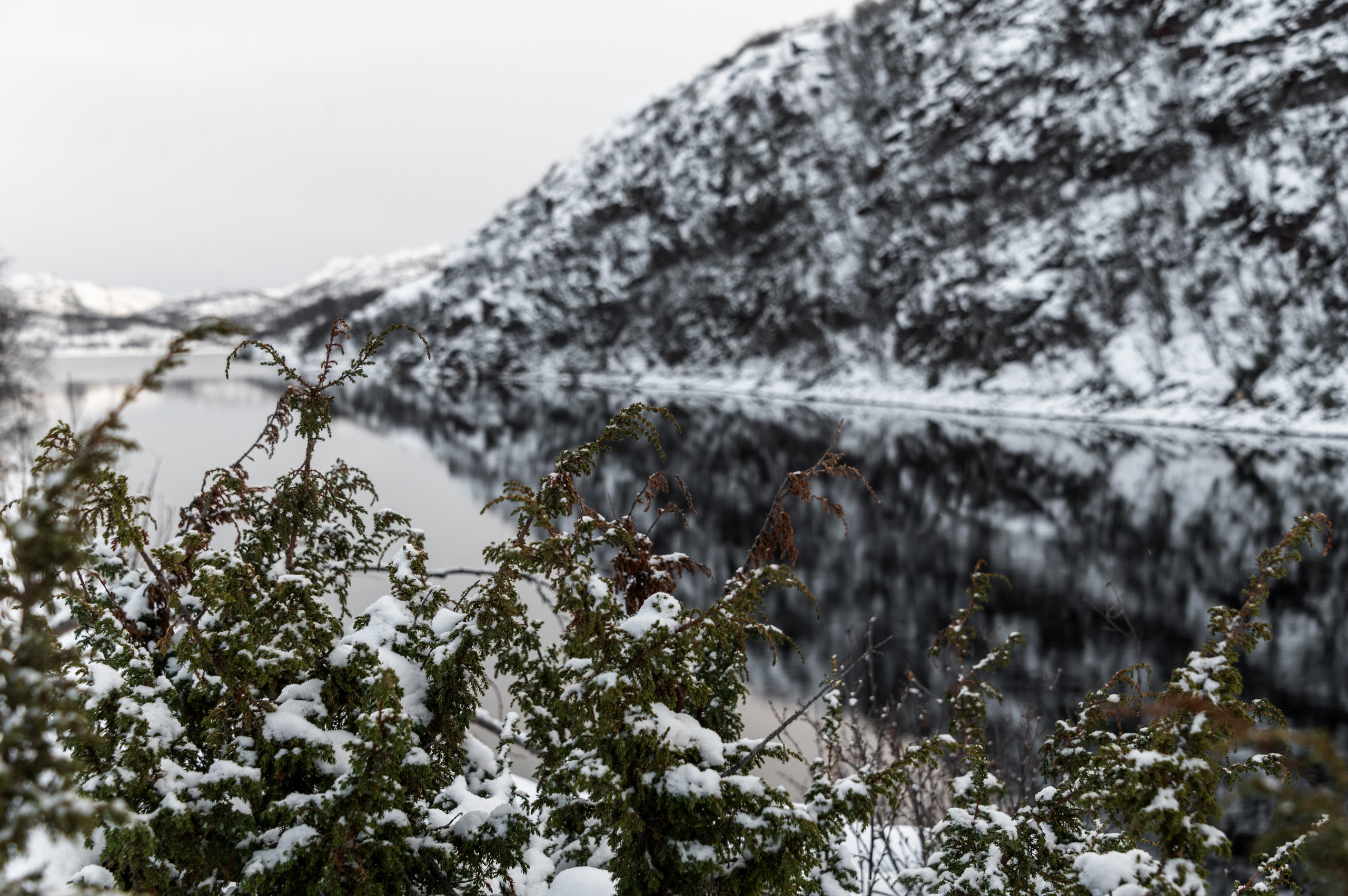 Териберка. Ноябрь 2023. Фотограф Роман Адлер