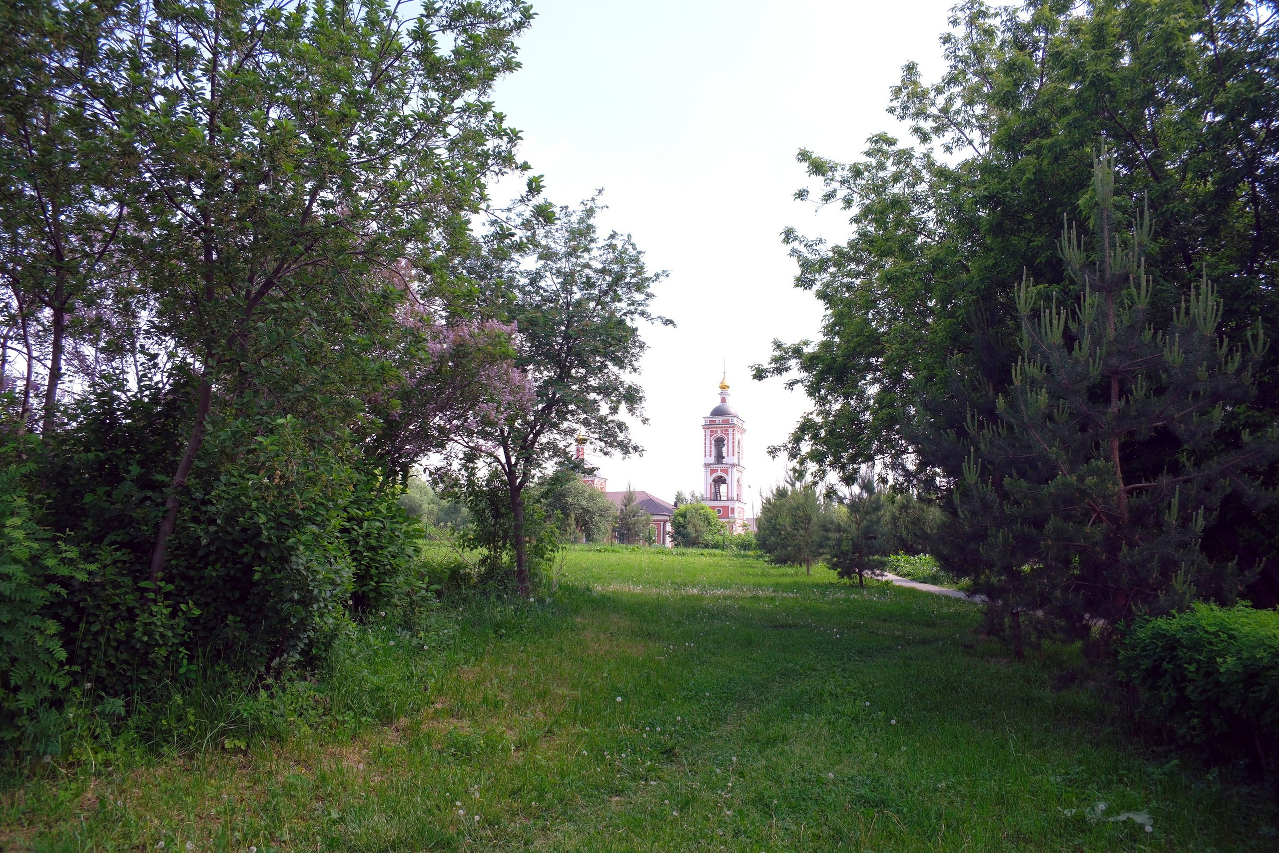 31.05.2025. Покровский парк. Активное долголетие. Улица, люди, жизнь…