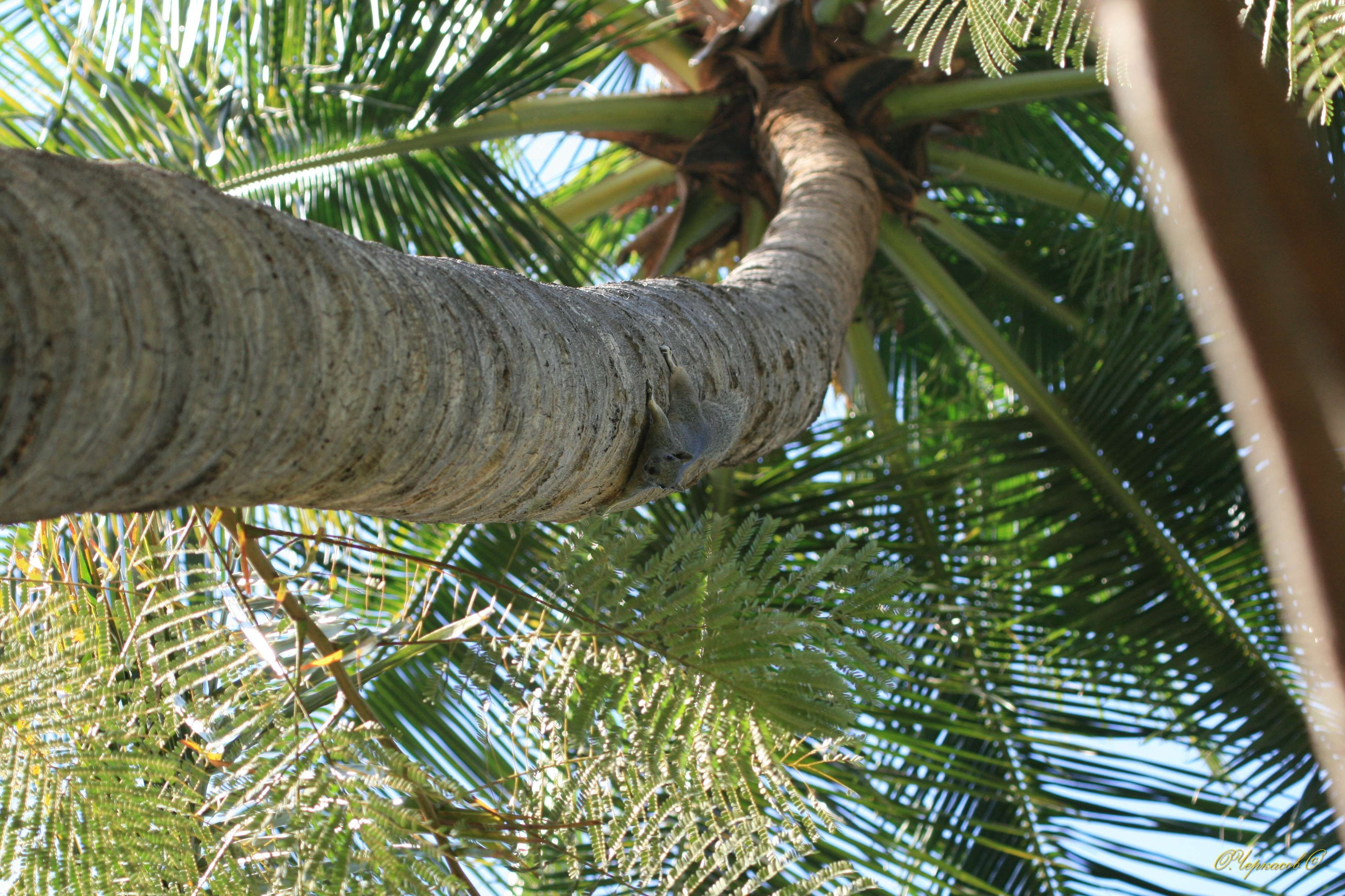 Вьетнам 2008 г. Улица, люди, жизнь…