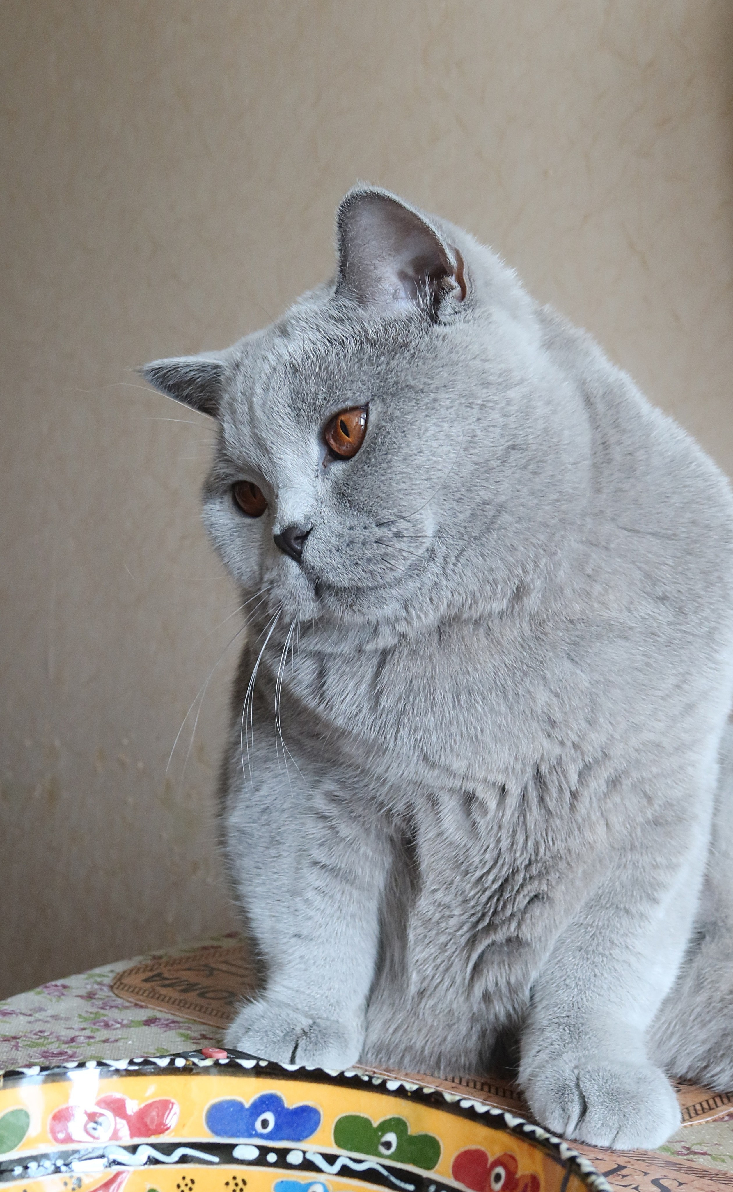 Улица, люди, жизнь…