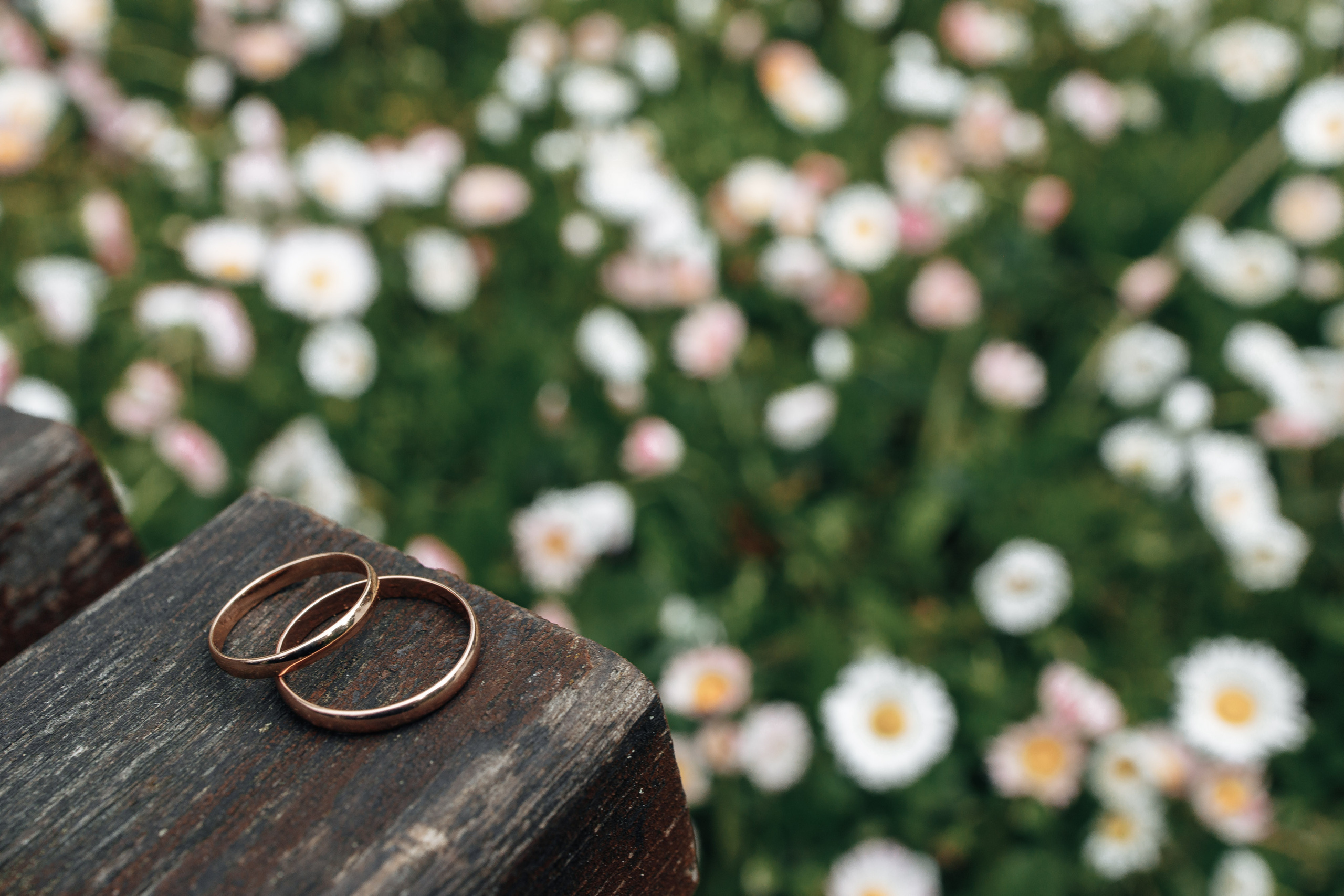 Свадьба в Смоленске. Свадебный фотограф Вашкевич Денис