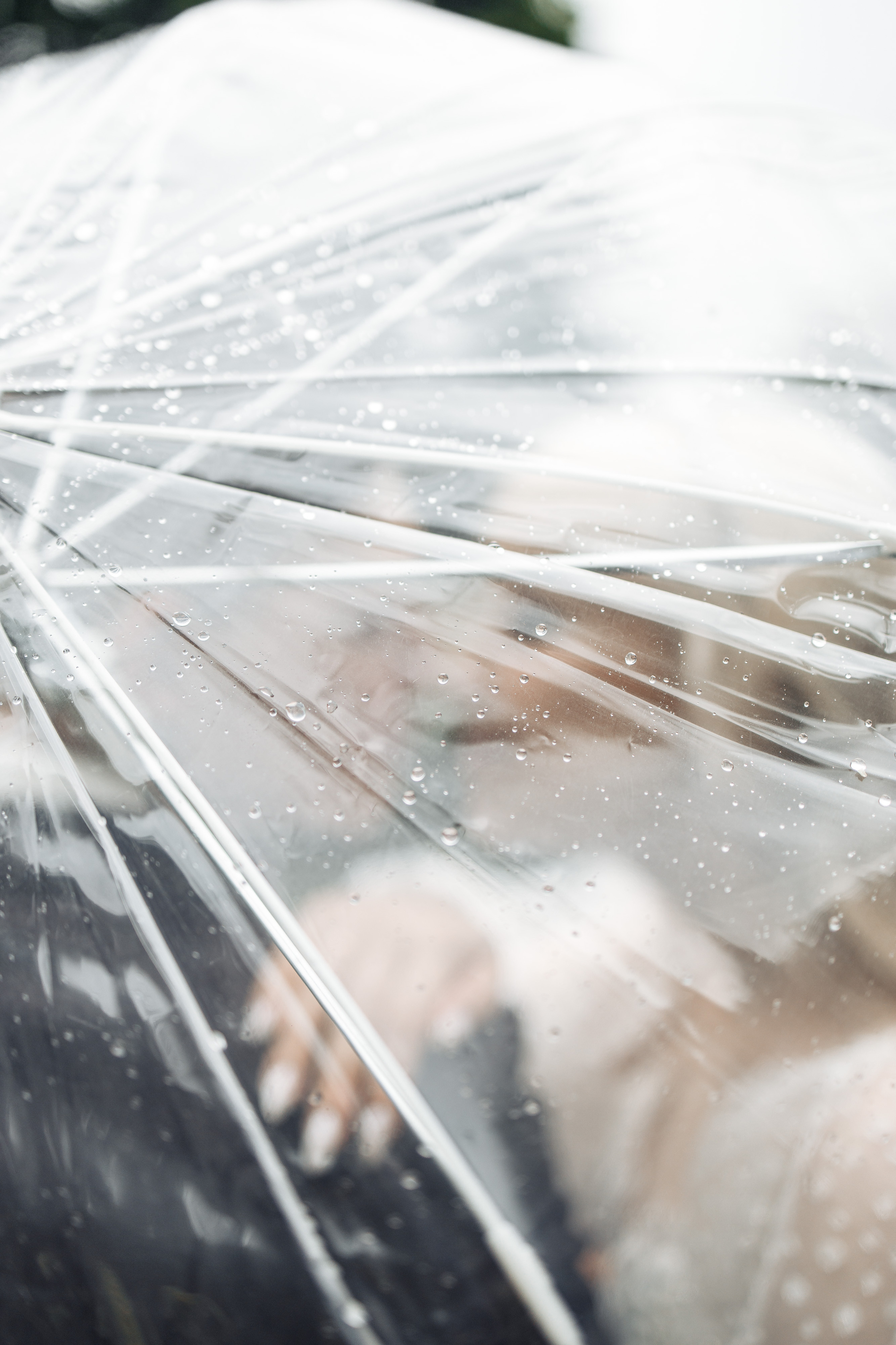 Свадьба в Смоленске. Свадебный фотограф Вашкевич Денис