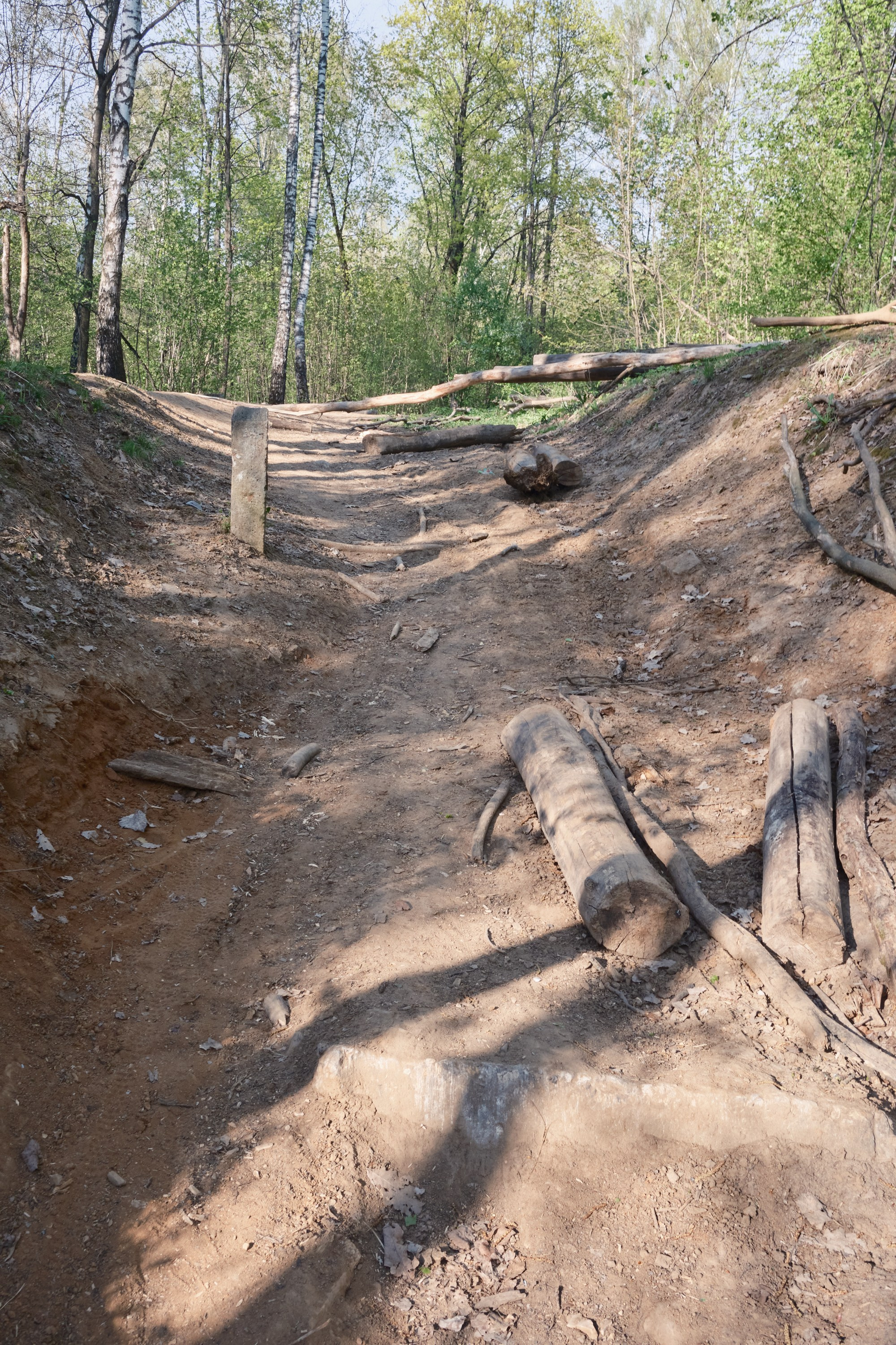Парк Синичка | Красногорск. Фотографъ Сергѣевъ. Поймать мгновеніе