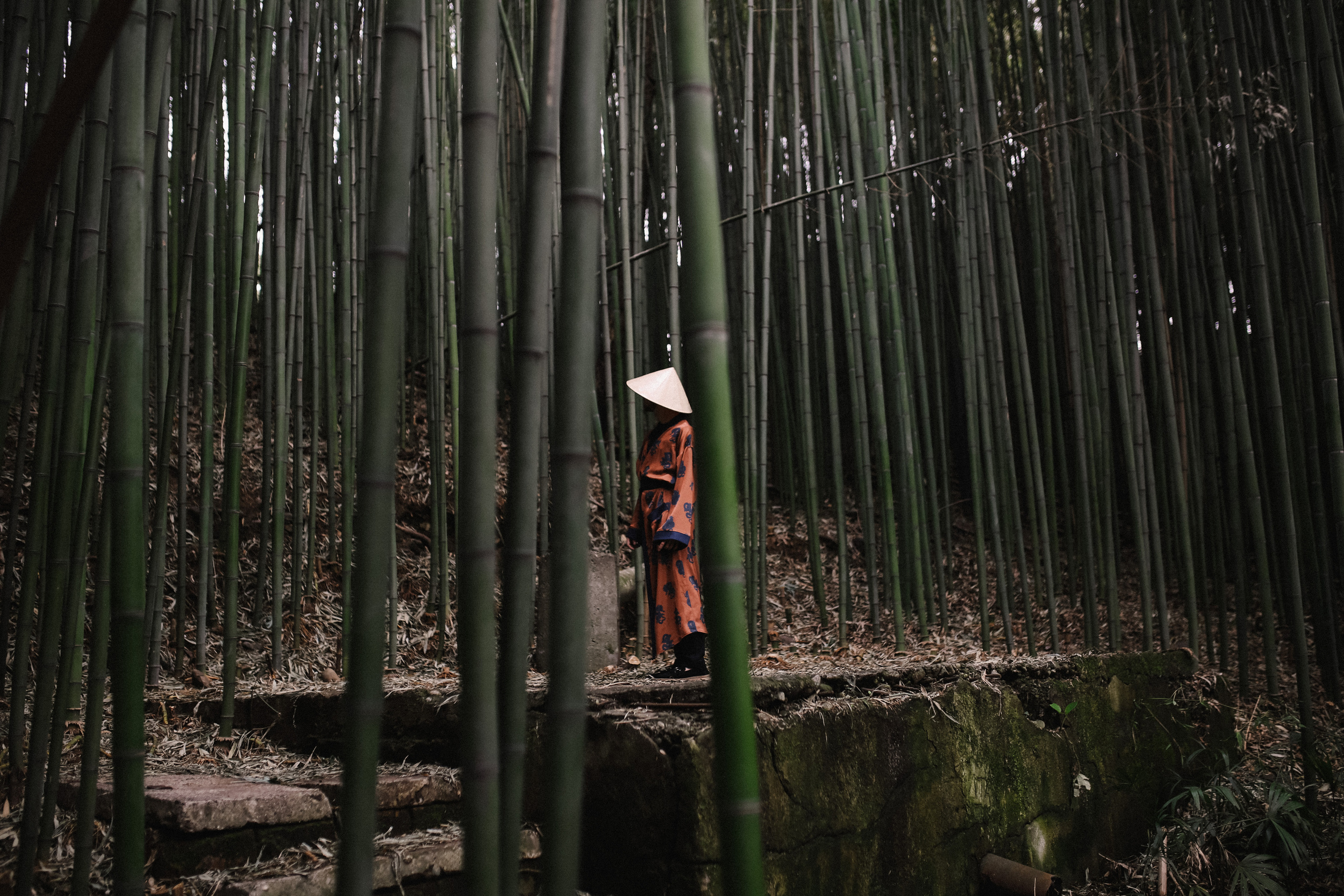 Roma Lesya. Портретные и свадебные съемки