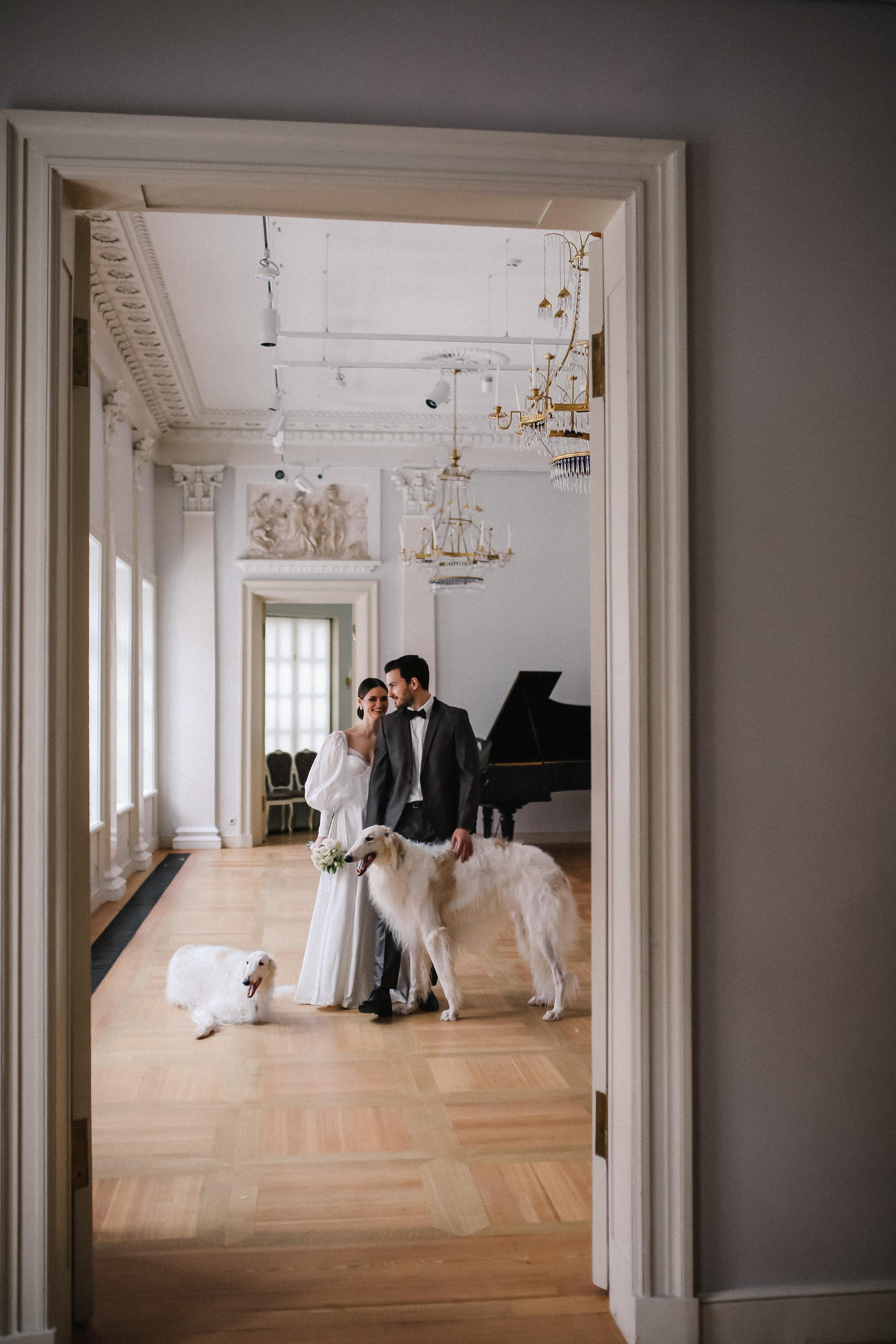 Darina Gleb | Manor Muravevyh-Apostolov, Moscow. Портретные и свадебные съемки