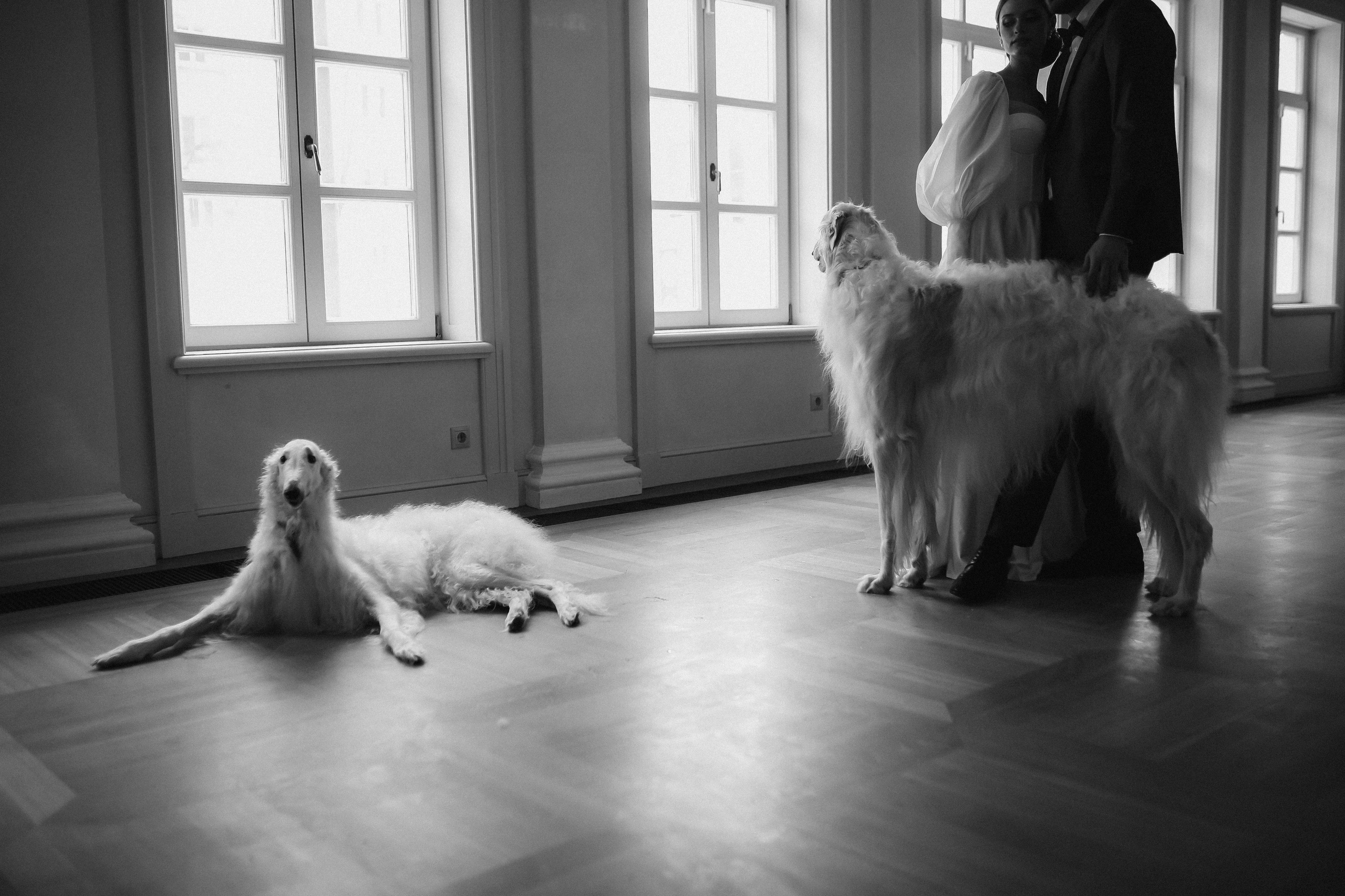 Darina Gleb | Manor Muravevyh-Apostolov, Moscow. Портретные и свадебные съемки