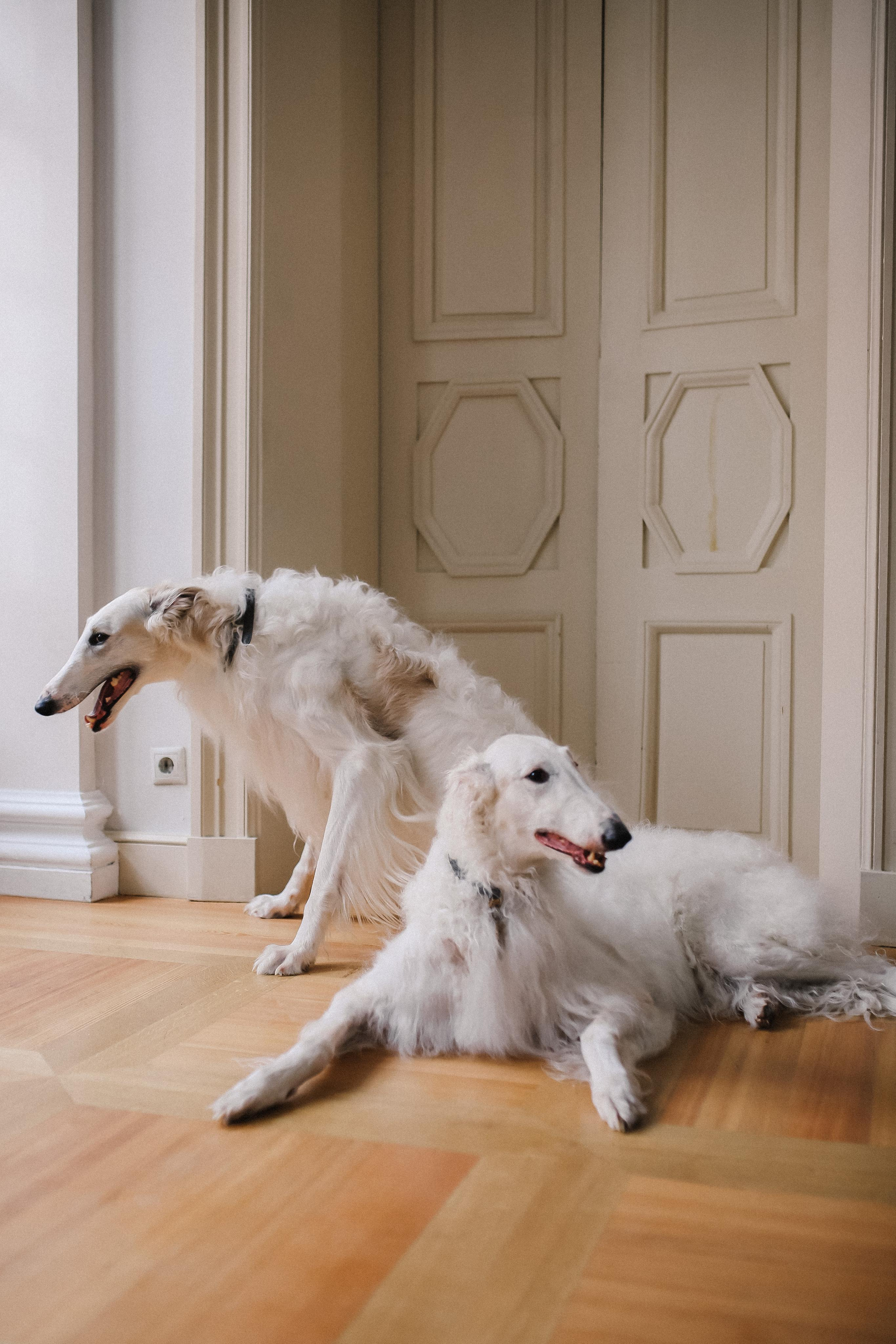 Darina Gleb | Manor Muravevyh-Apostolov, Moscow. Портретные и свадебные съемки