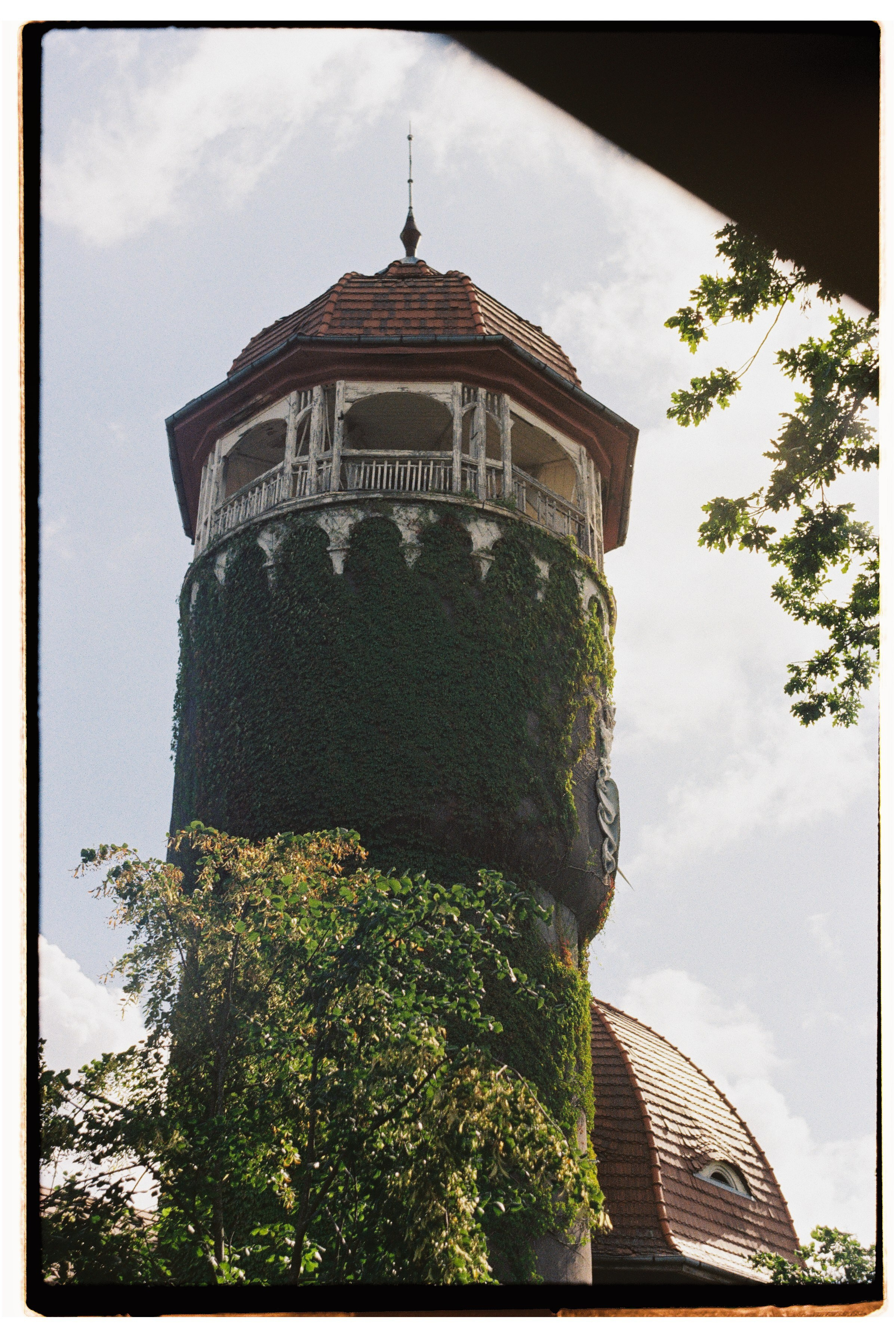 Калининградская область и Санкт-Петербруг | 2024. Портретный фотограф | Олеся Комарова | Екатеринбург