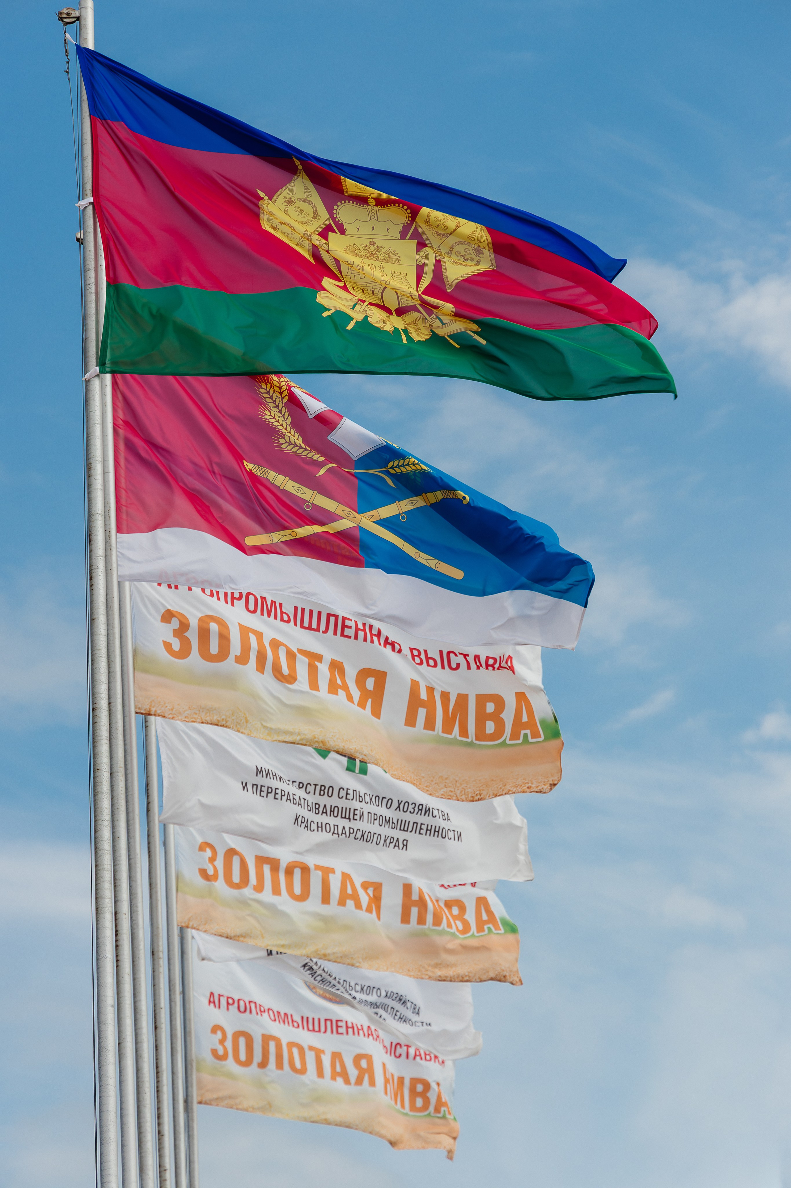 Агровыставка ЗОЛОТАЯ НИВА. Репортажный фотограф в Краснодаре Лагута Надежда