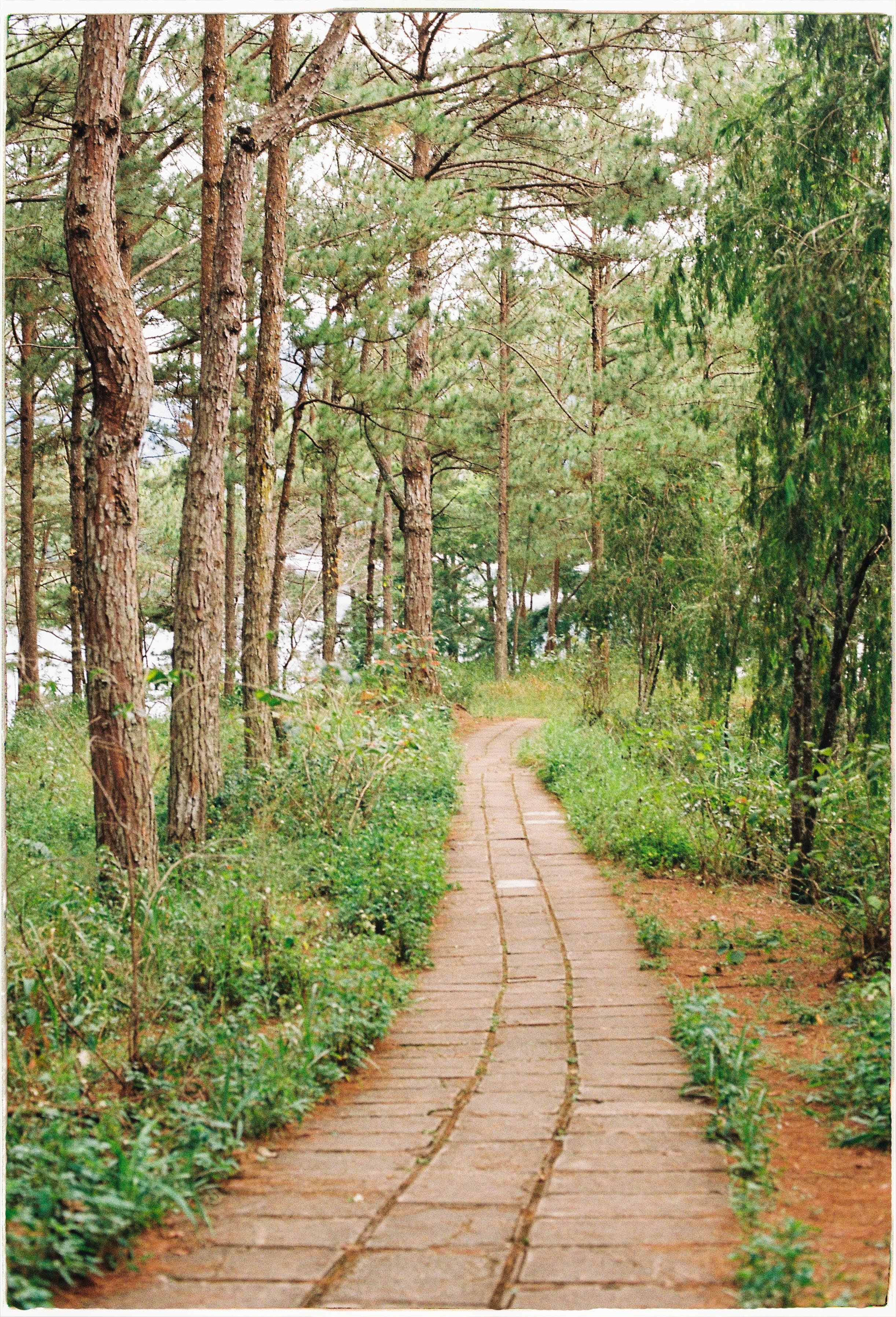 Dalat 2024. Film Photographer in Da Nang, Vietnam — Tanya Parfenteva