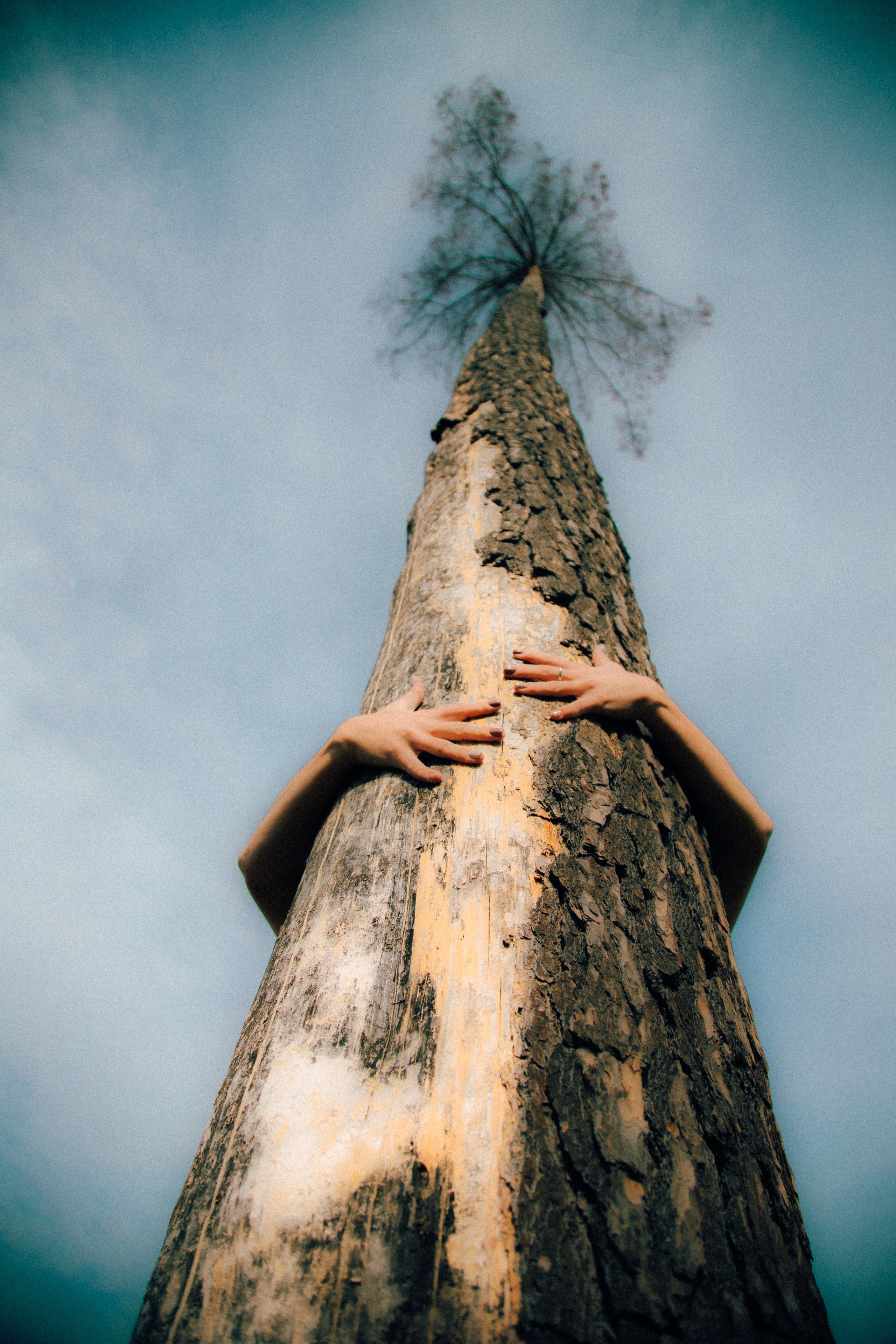 Геля. Юлия Кулиш // Pocahontas